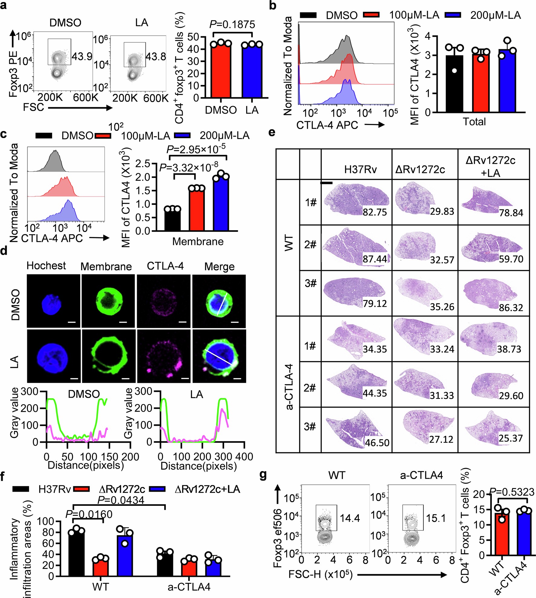 Extended Data Fig. 6: Linoleic acid promotes mycobacteria survival via CTLA-4 of Tregs in vivo.