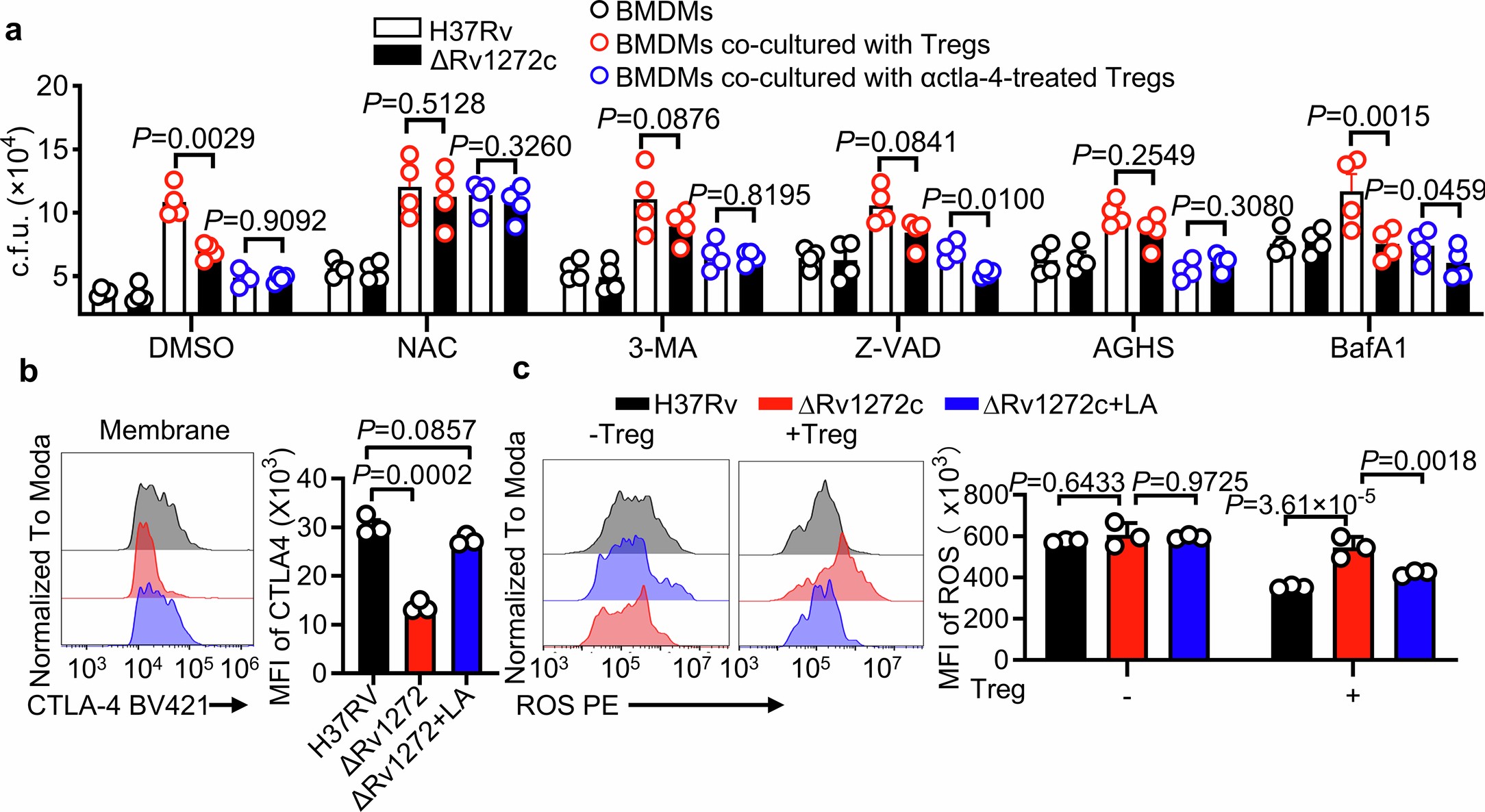 Extended Data Fig. 7: Rv1272c induced linoleic acid promotes CTLA-4 surface trafficking on Tregs to inhibit cytosol ROS and facilitate the survival of Mtb in macrophages.