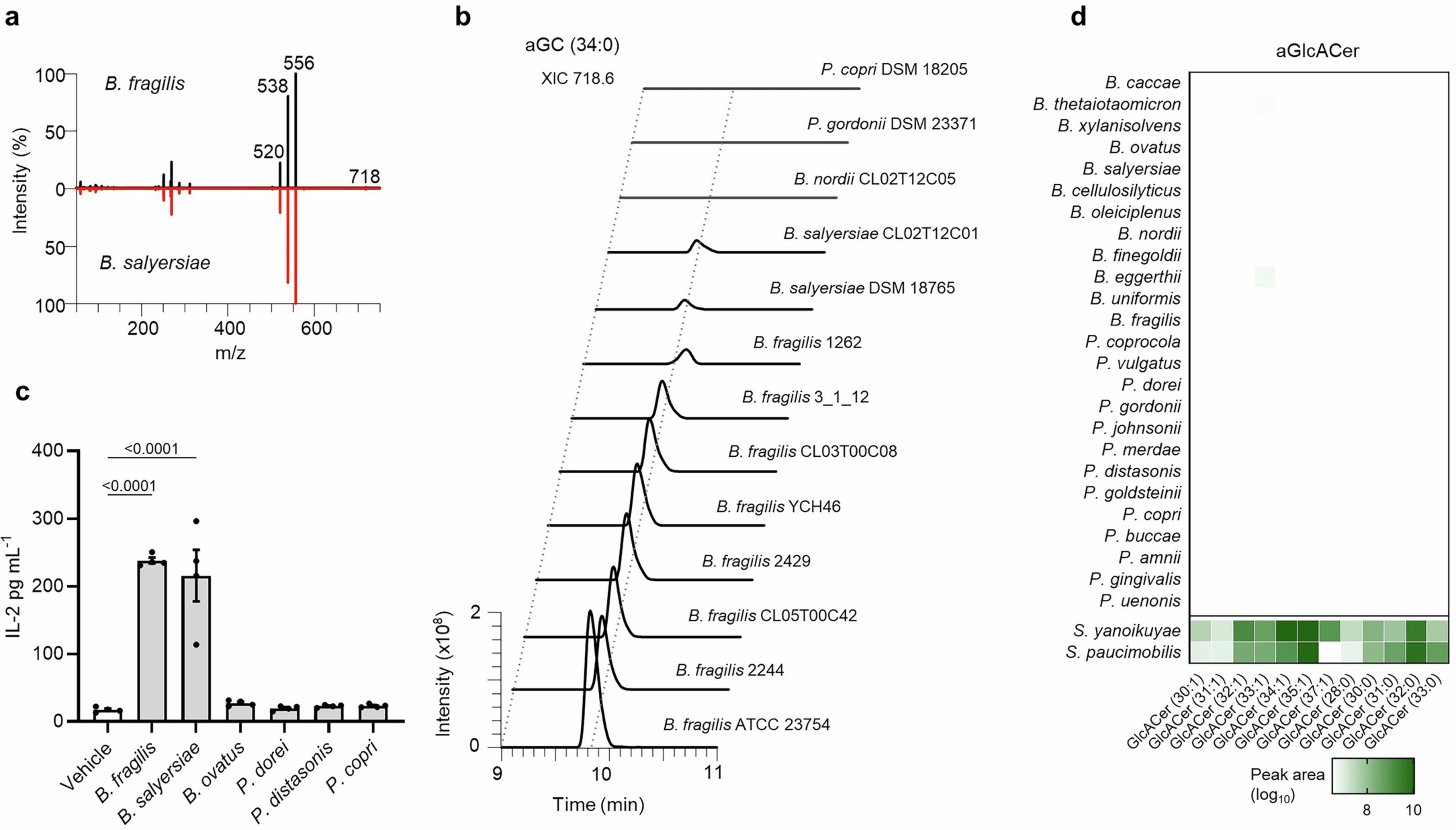 Extended Data Fig. 4: B. fragilis and B. salyersiae produce aGCs and induce NKT cell activation.