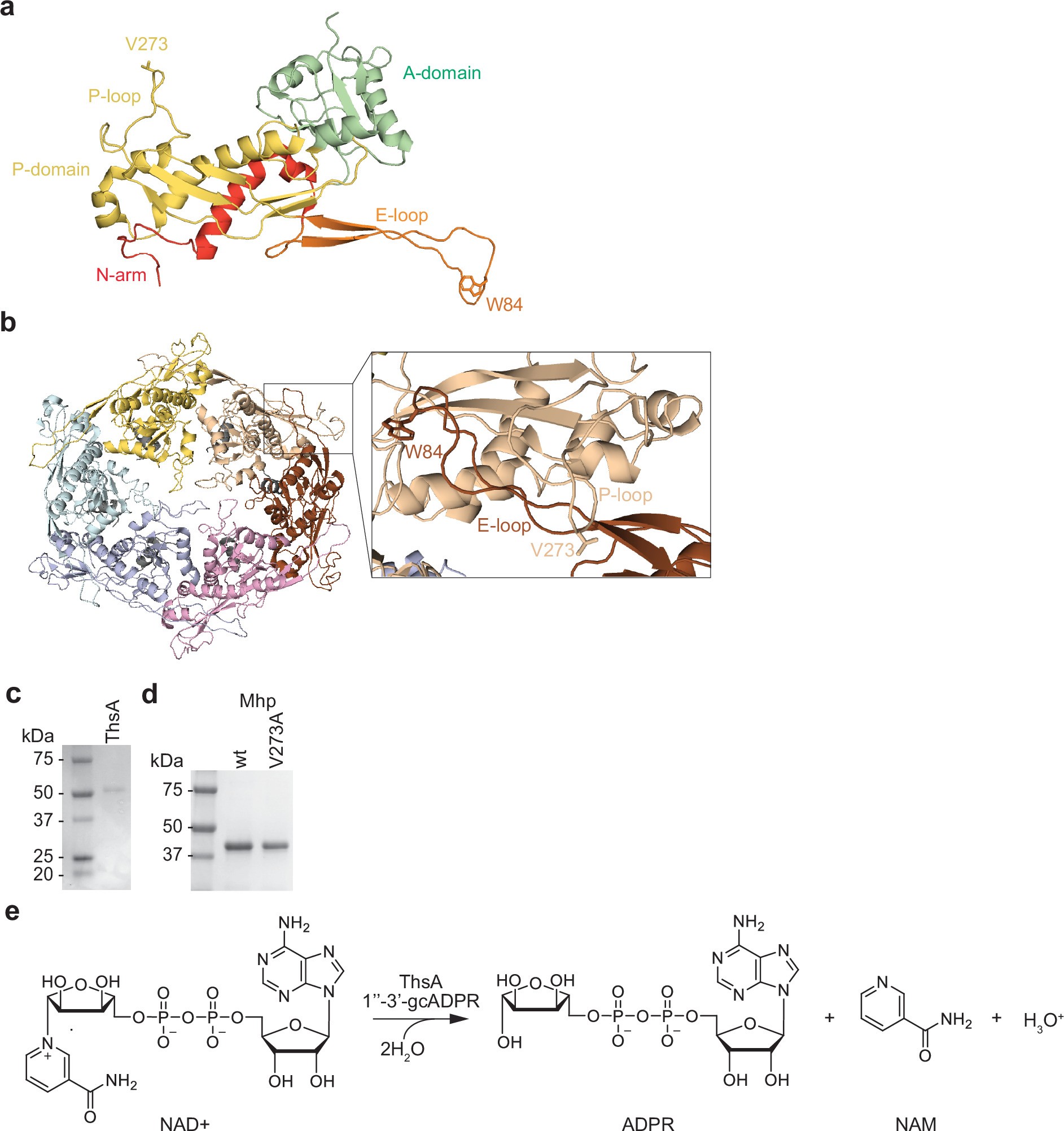 Extended Data Fig. 5