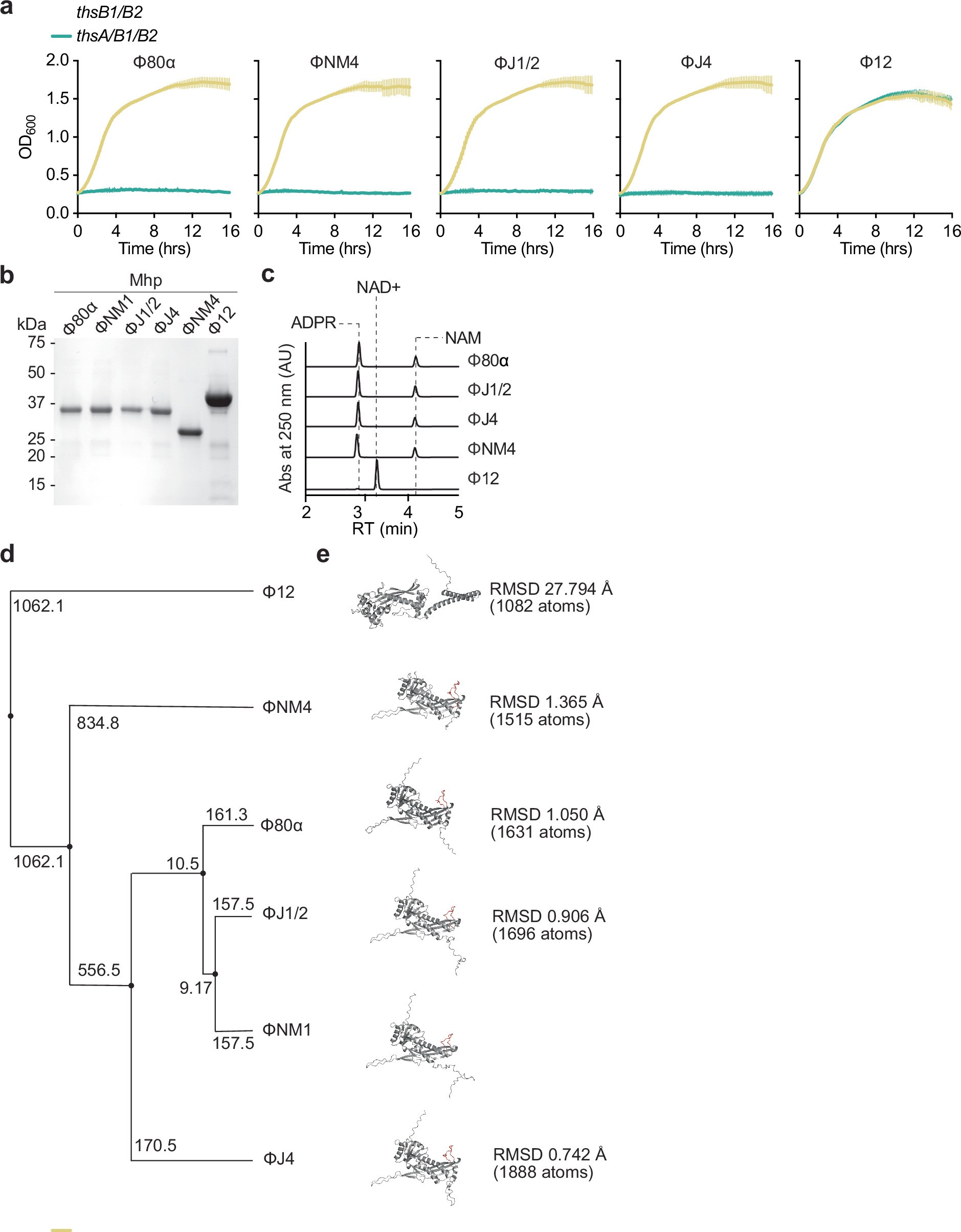 Extended Data Fig. 6