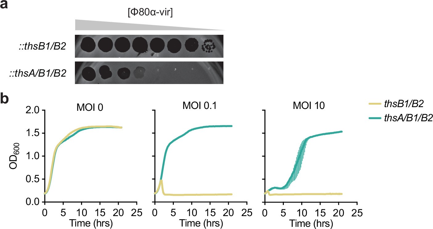 Extended Data Fig. 1