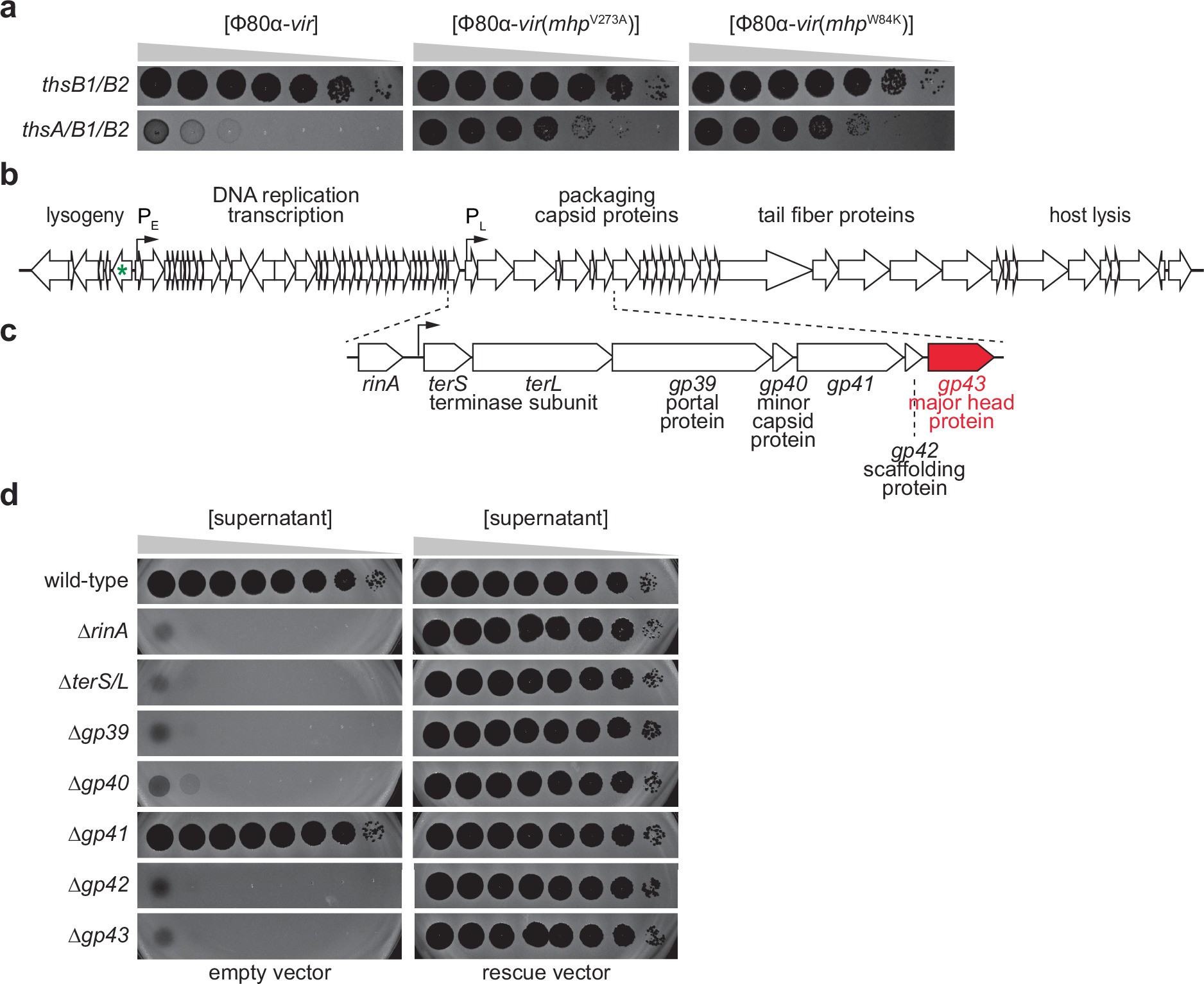 Extended Data Fig. 2