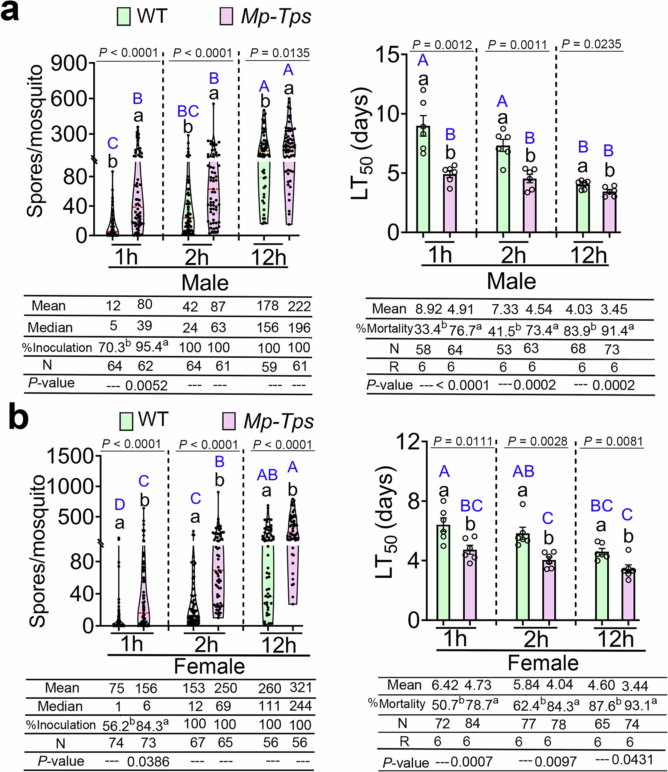 Extended Data Fig. 8: The ability of M. pingshaense strains to attract and kill laboratory-reared adult Ae. albopictus mosquitoes in 1m3-cages.