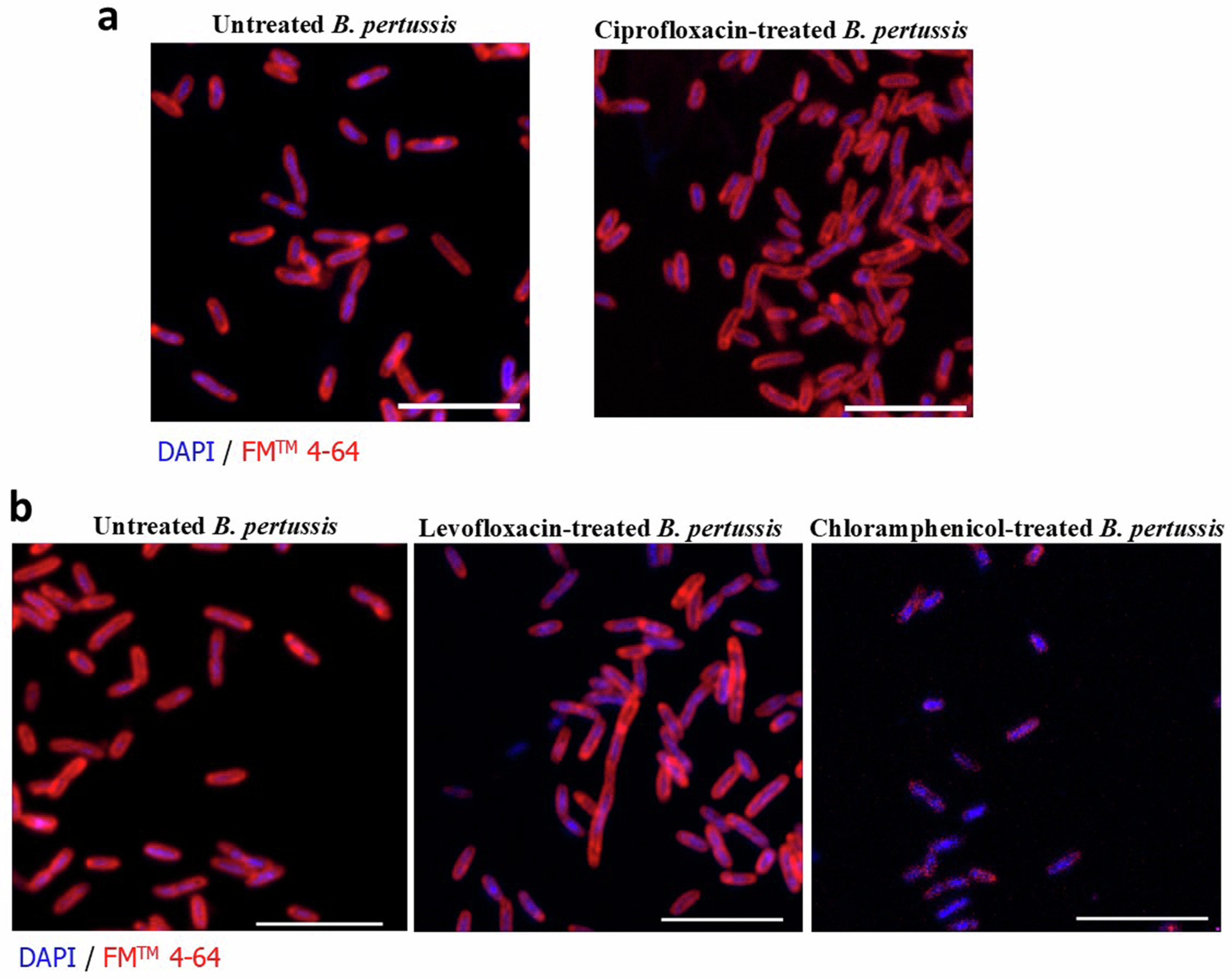 Extended Data Fig. 1