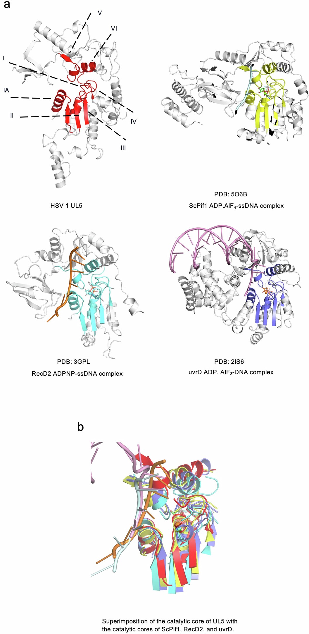 Extended Data Fig. 6