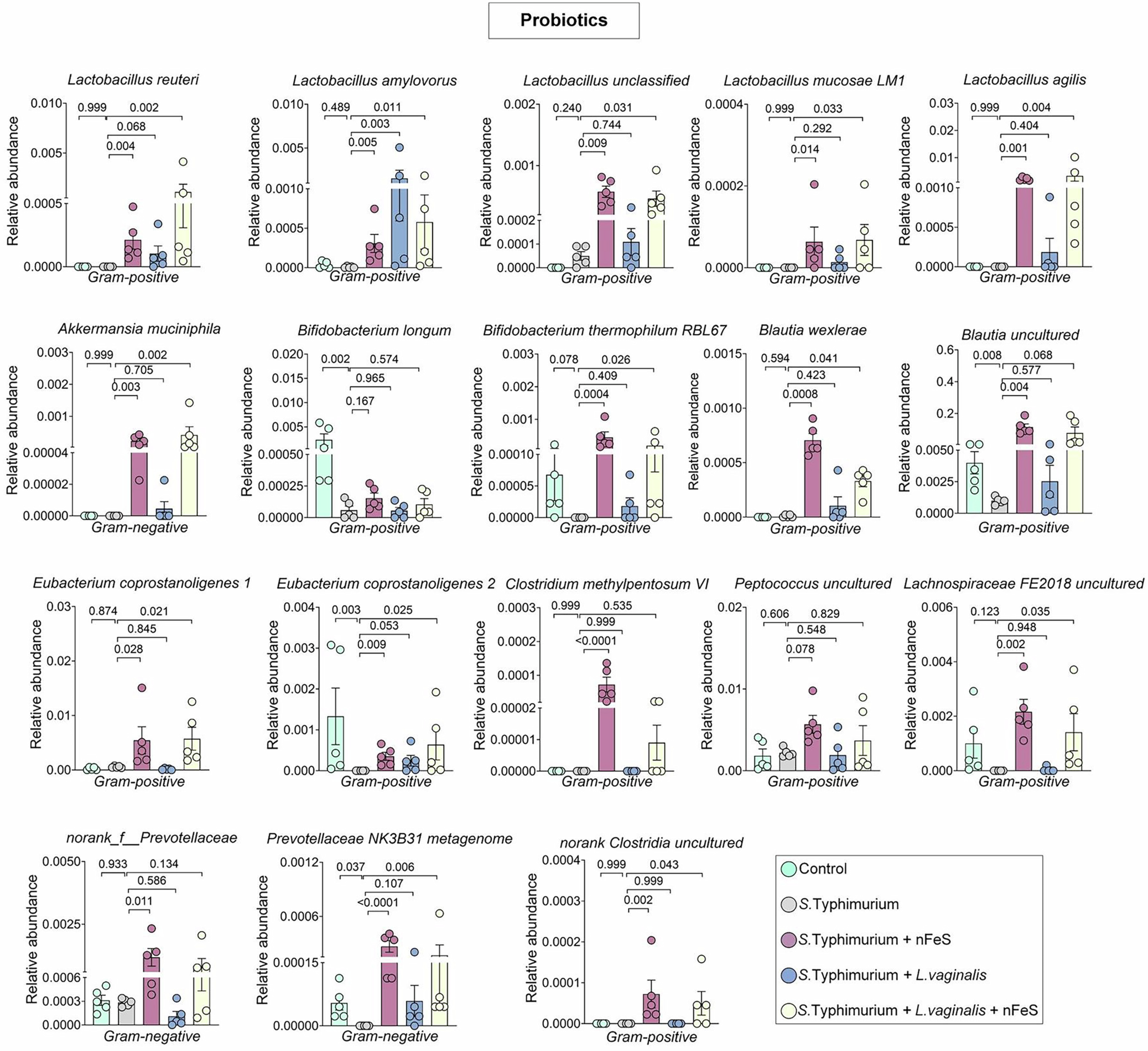Extended Data Fig. 9: nFeS is biocompatible with multiple probiotics.