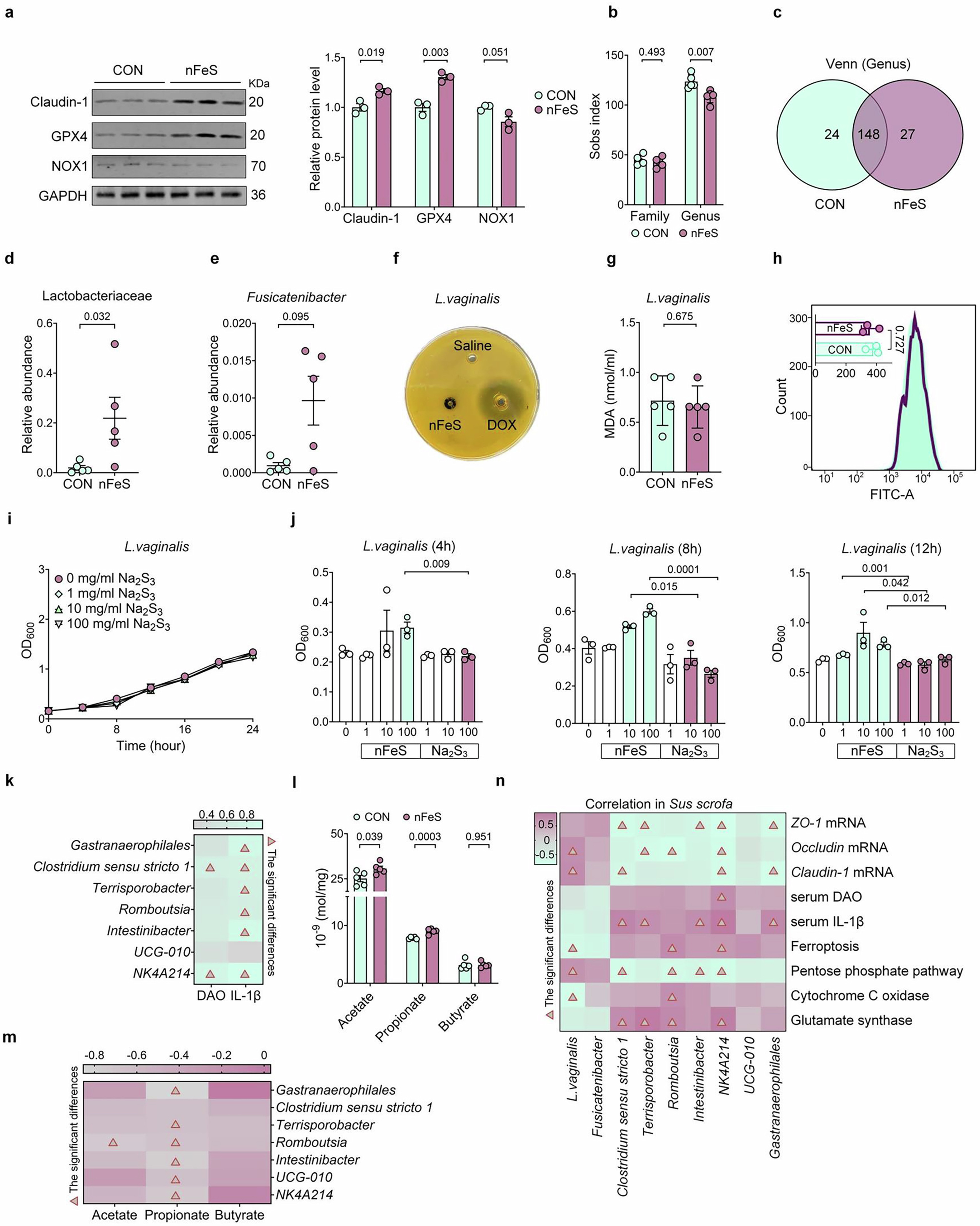 Extended Data Fig. 1: Microbiota sequence enriches microbial ferroptosis pathway induced by nFeS.
