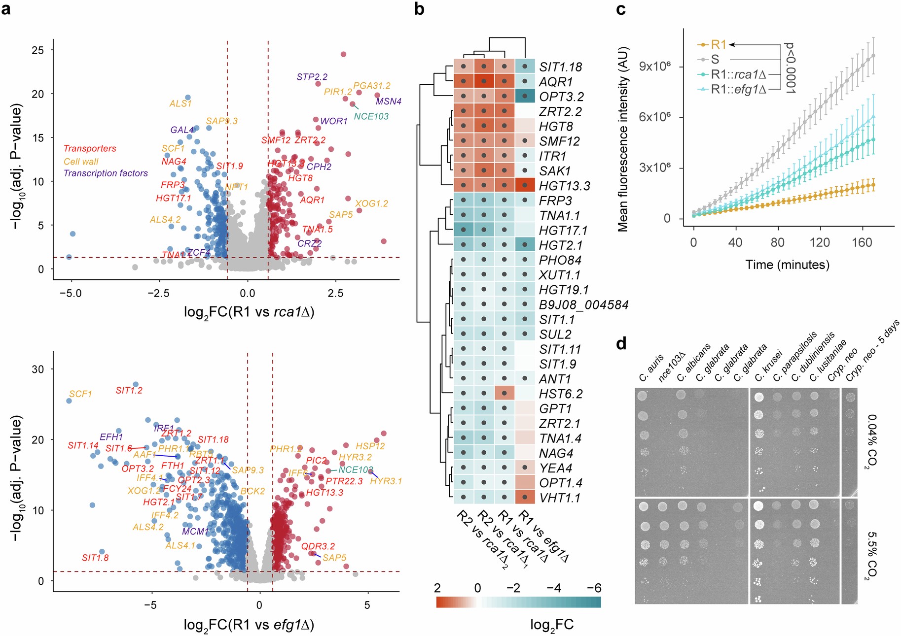 Extended Data Fig. 8