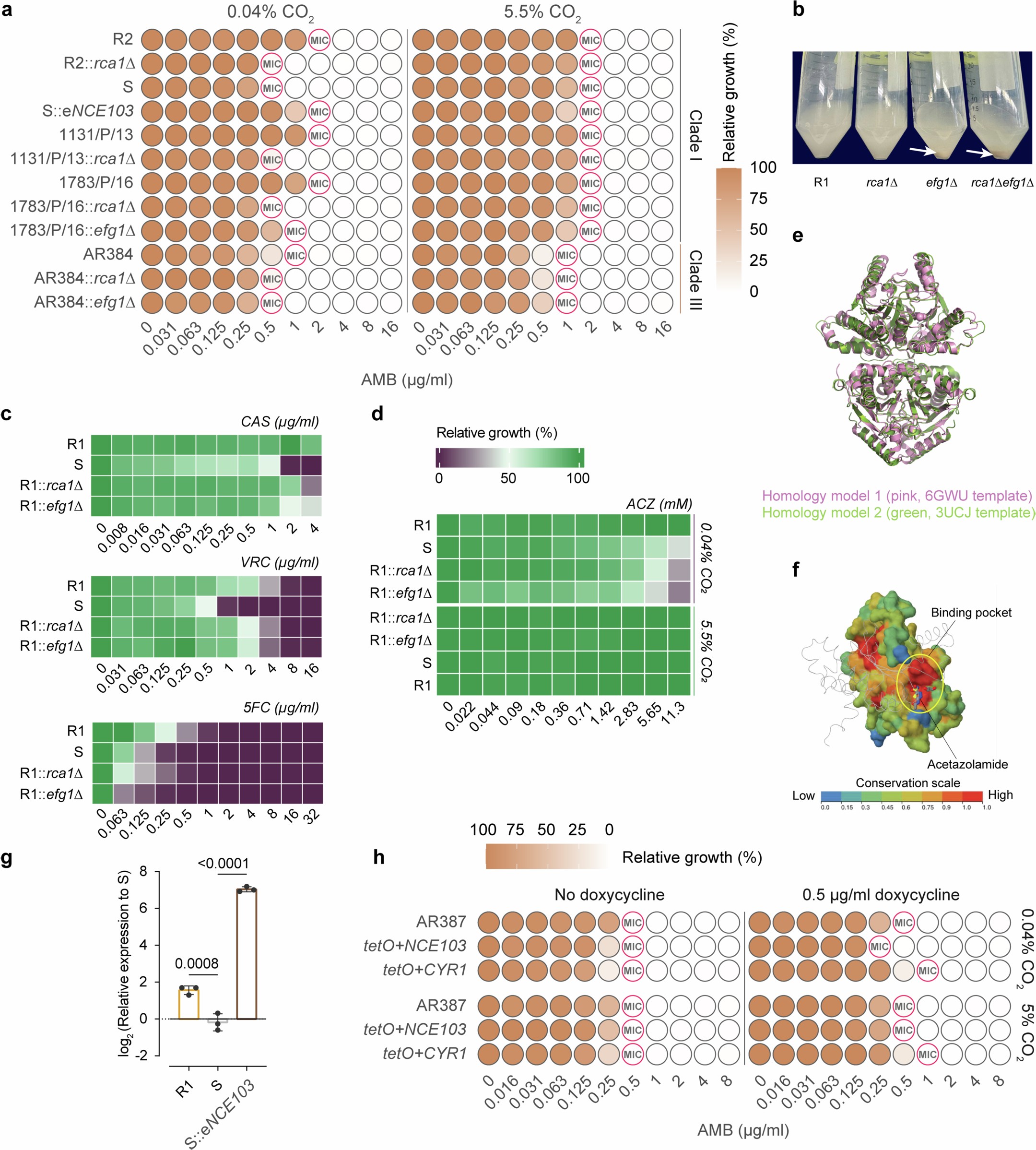 Extended Data Fig. 3