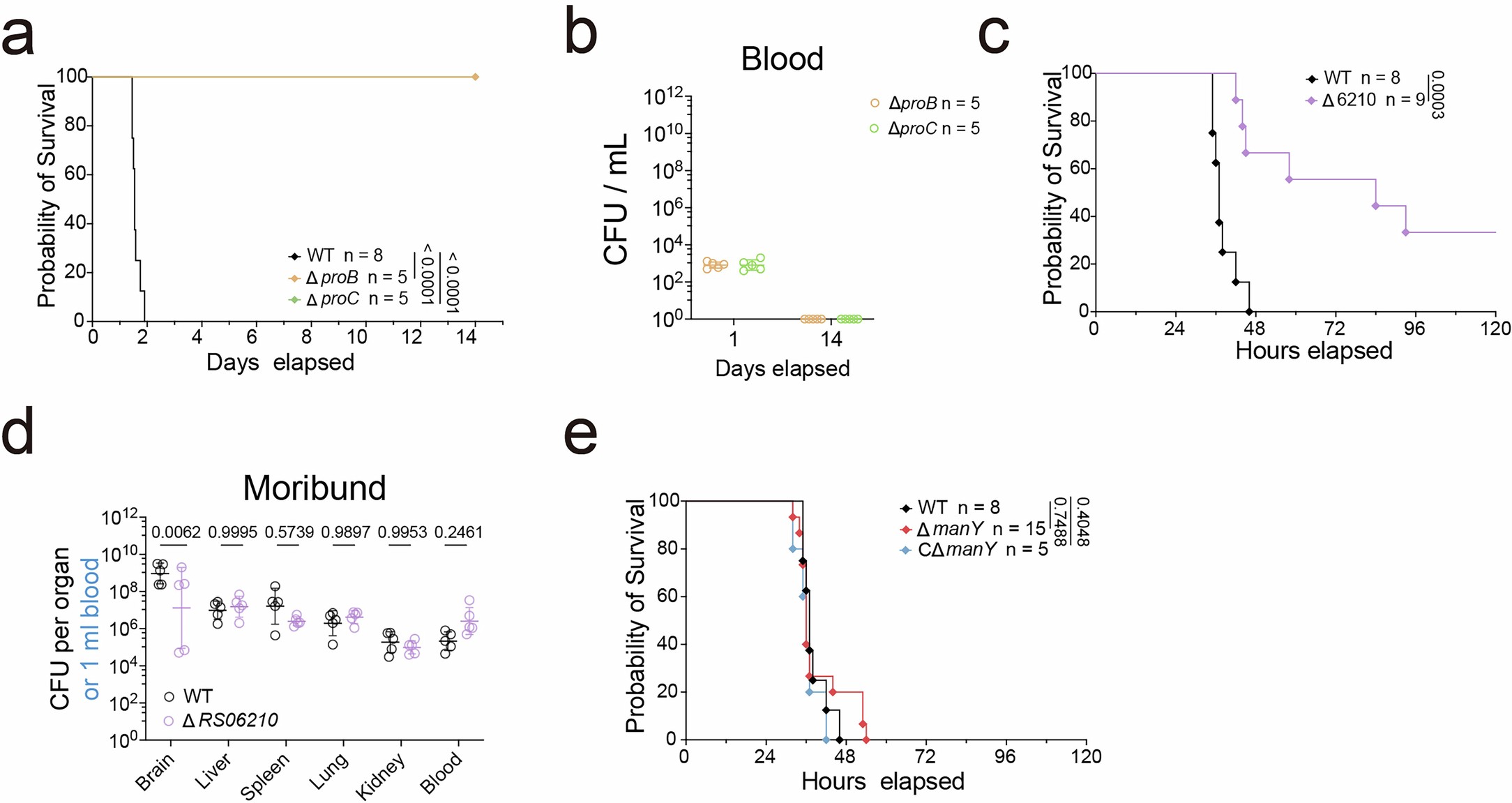 Extended Data Fig. 4: Infection phenotypes of other S. zooepidemicus mutants.