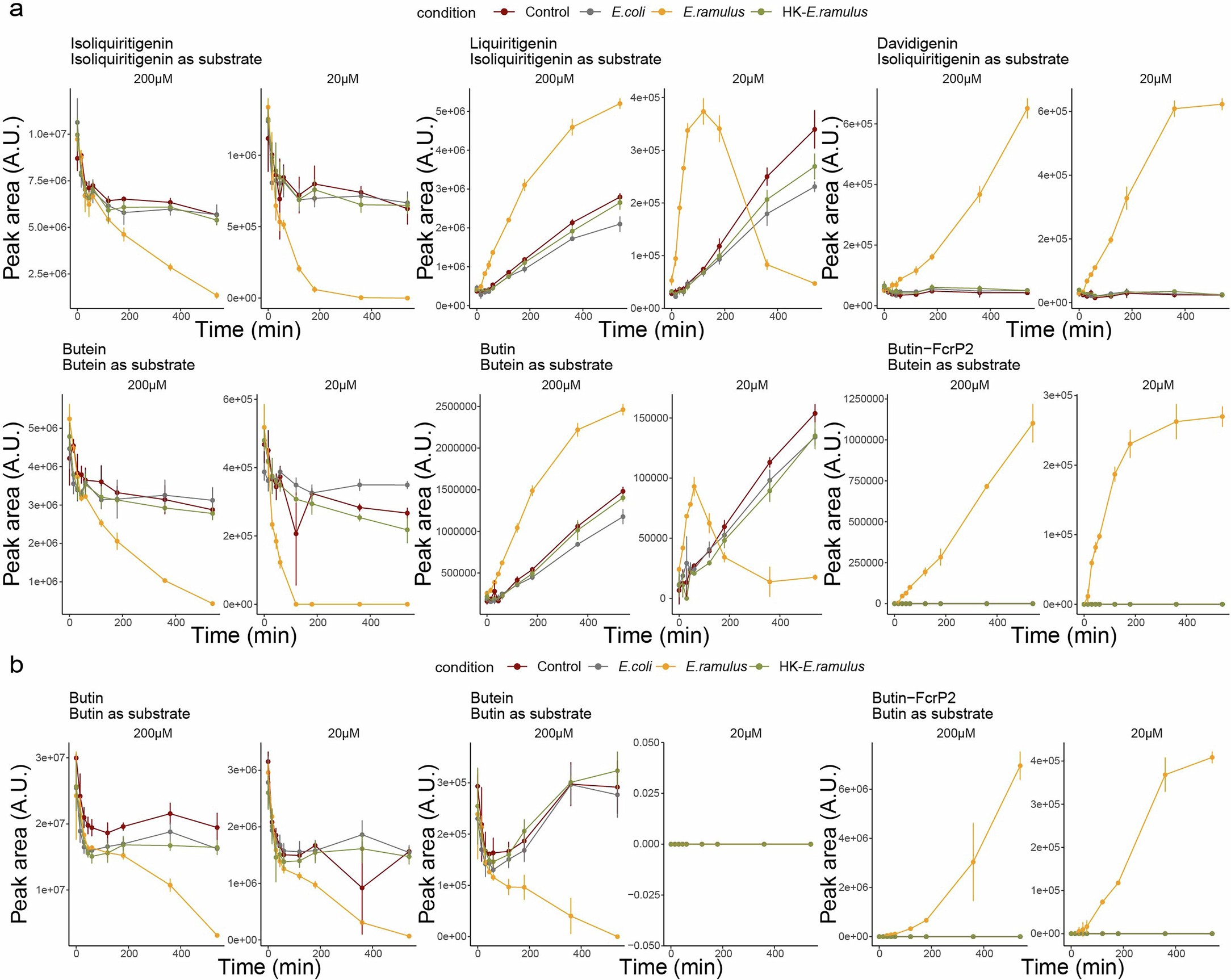 Extended Data Fig. 2: Biotransformation kinetics of phytonutrient substrates butein, isoliquiritigenin and butin.