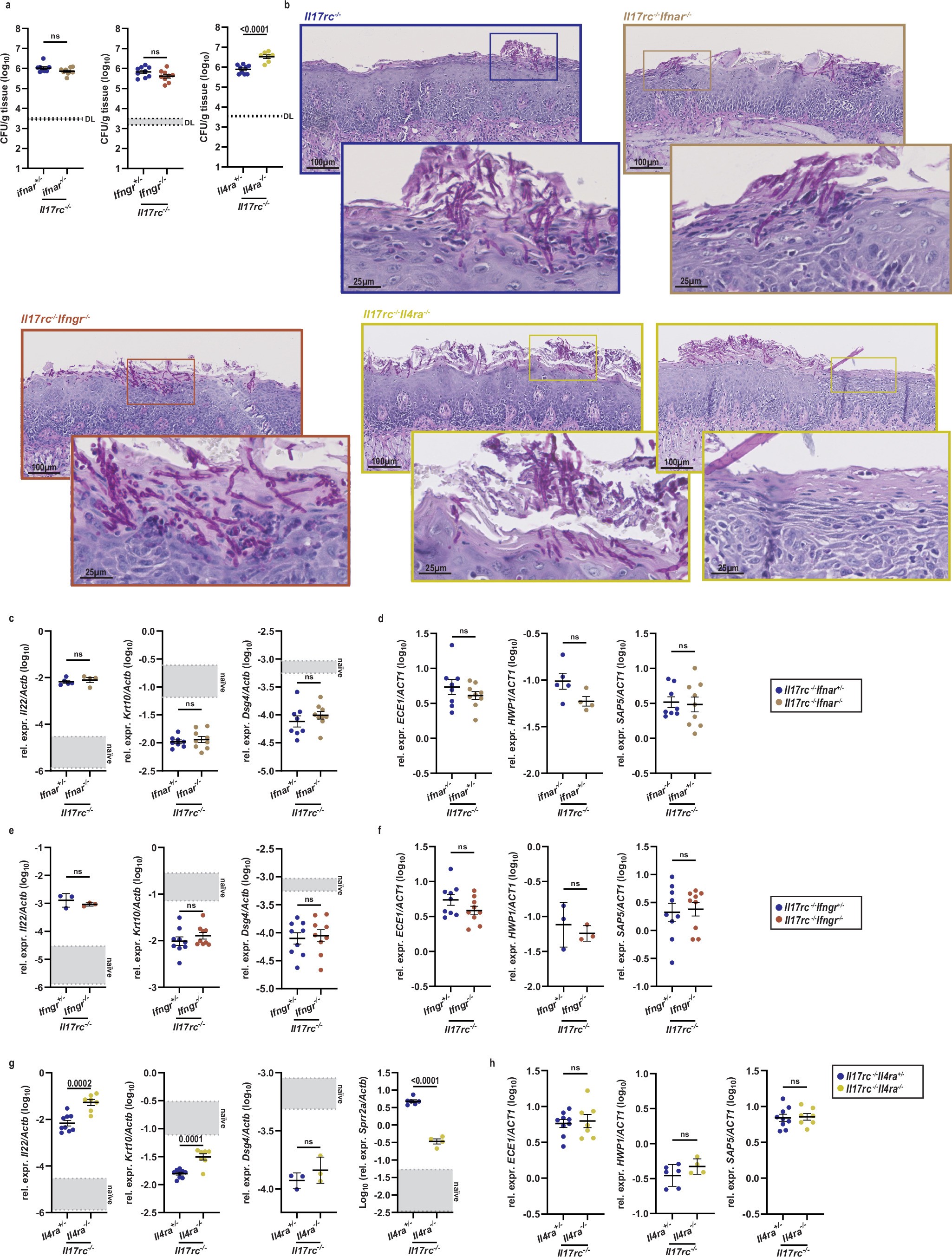 Extended Data Fig. 5