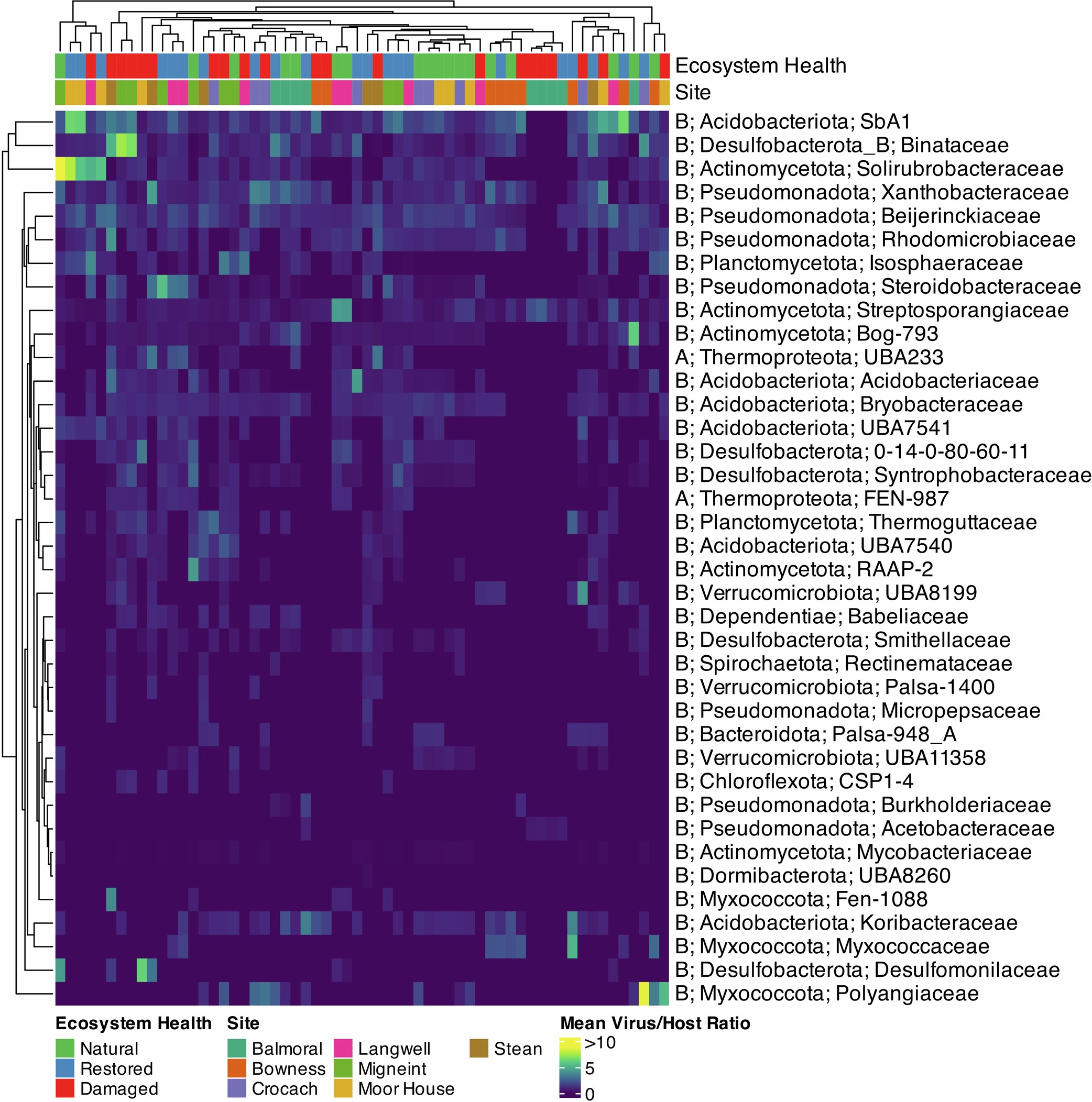 Extended Data Fig. 6: Average Virus/Host Abundance Ratios by Host Family.