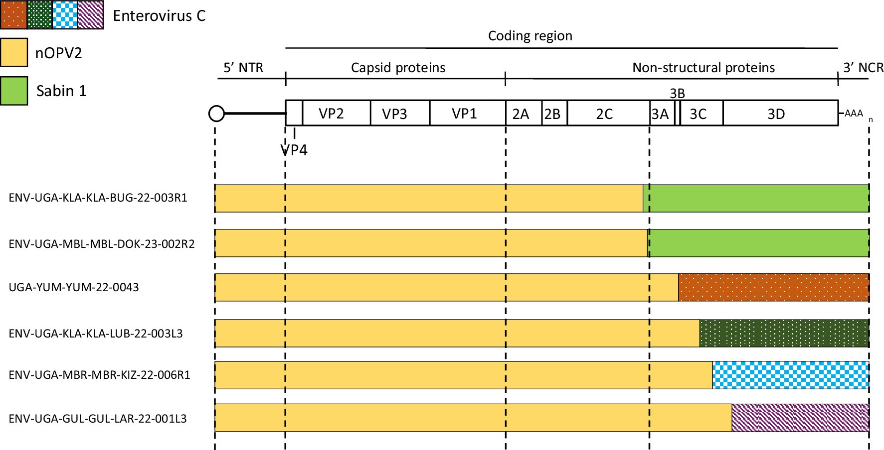 Extended Data Fig. 1