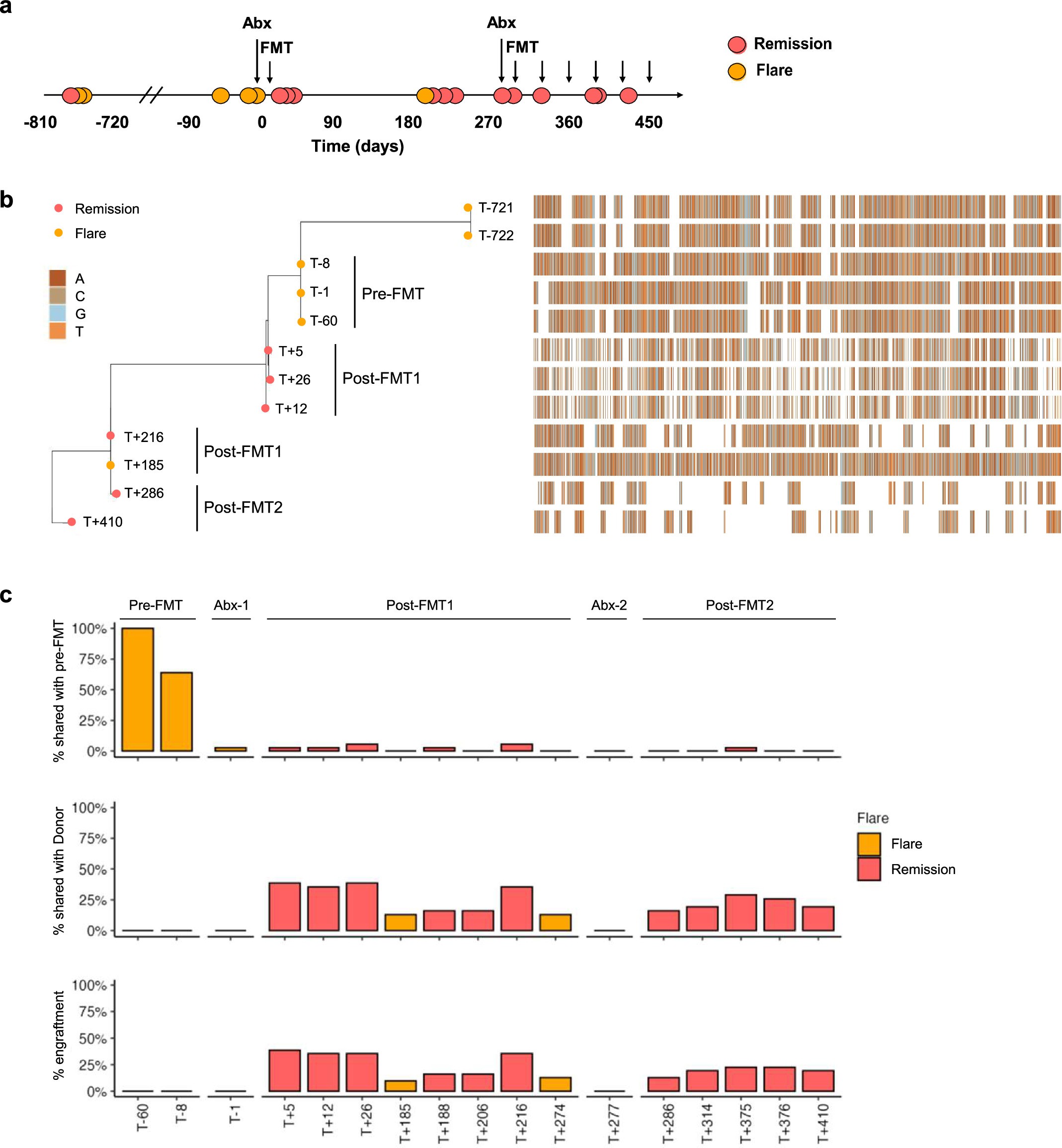 Extended Data Fig. 9: Strain engraftment during FMT aligns with clinical changes in ABS.