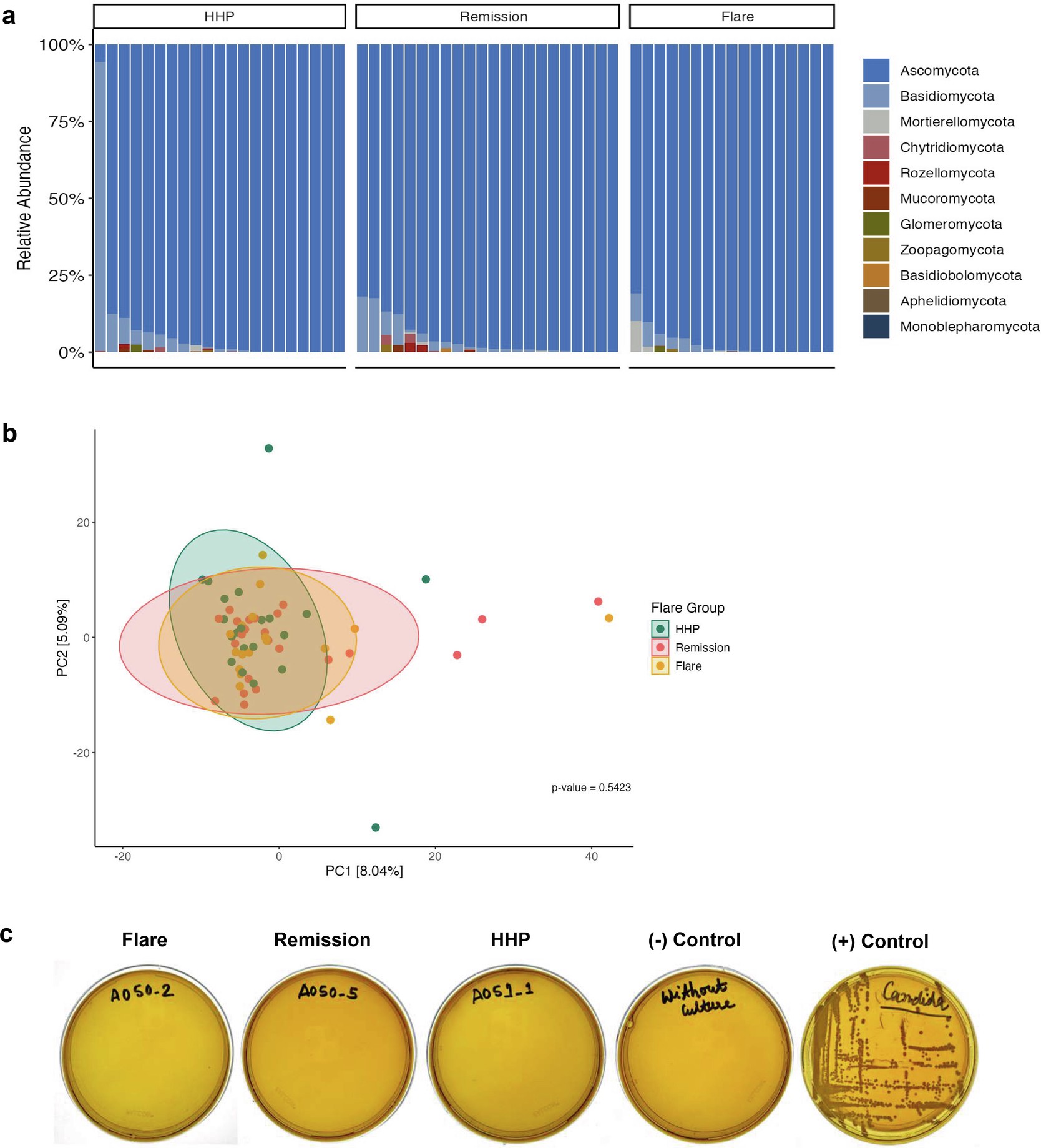 Extended Data Fig. 2: Bacterial rather than fungal shifts underpin ABS pathophysiology.