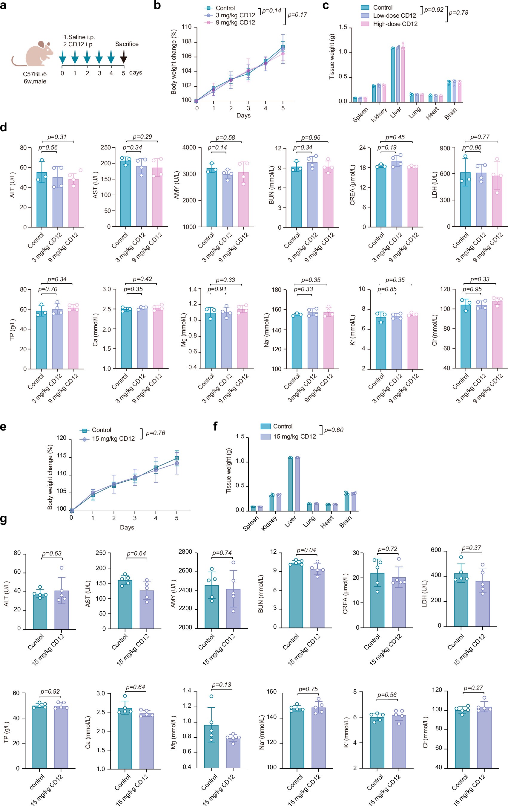 Extended Data Fig. 6: toxicity evaluation of CD12 in C57BL/6J mice.