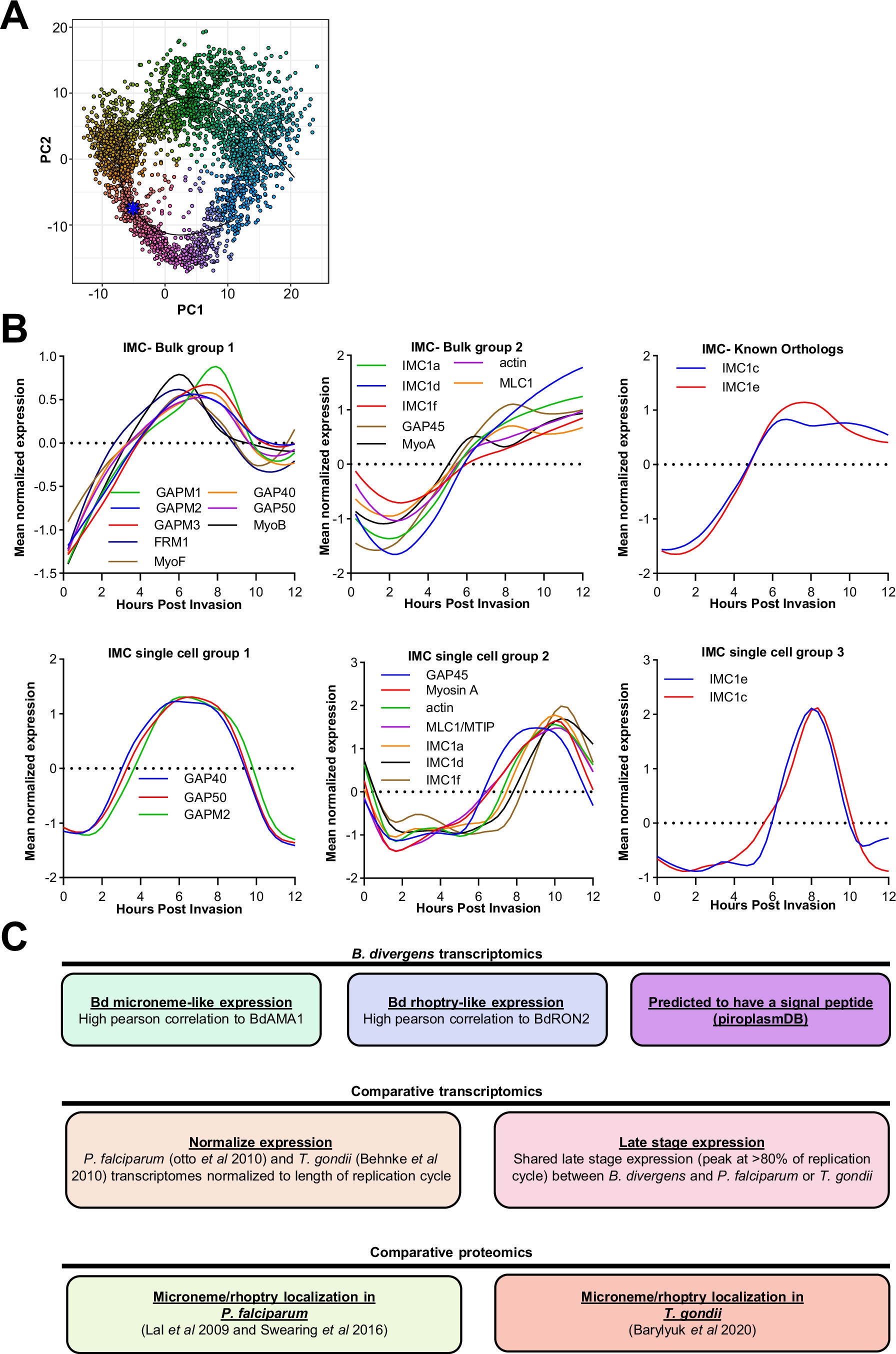 Extended Data Fig. 2: The B. divergens transcriptome reveals expression of putative IMC genes and conserved apicomplexan egress and invasion genes.