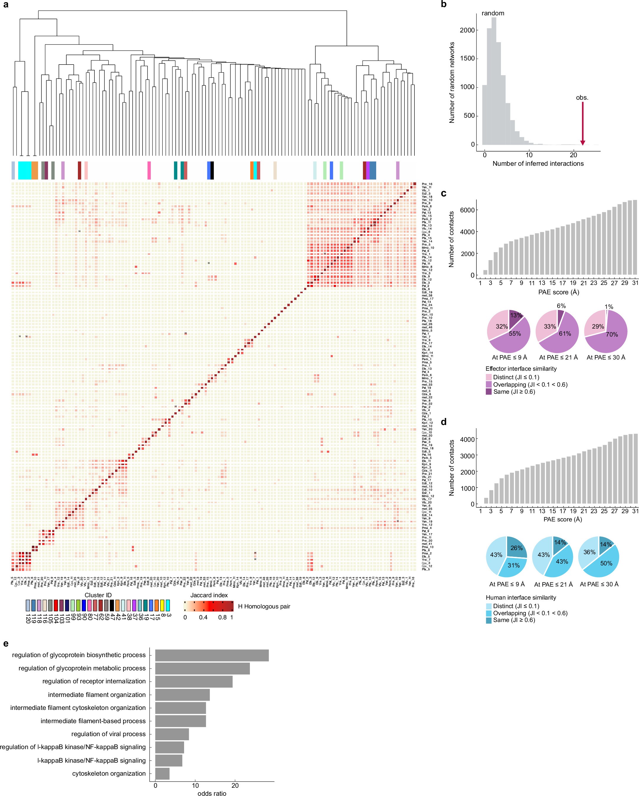 Extended Data Fig. 3: Patterns of bacterial effector-human protein interactions.