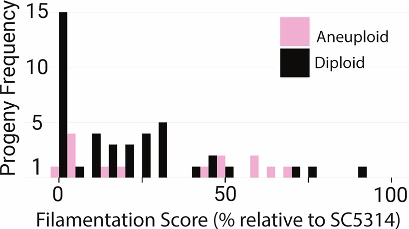 Extended Data Fig. 8: Aneuploidy does not influence variation in parasexual progeny filamentation.
