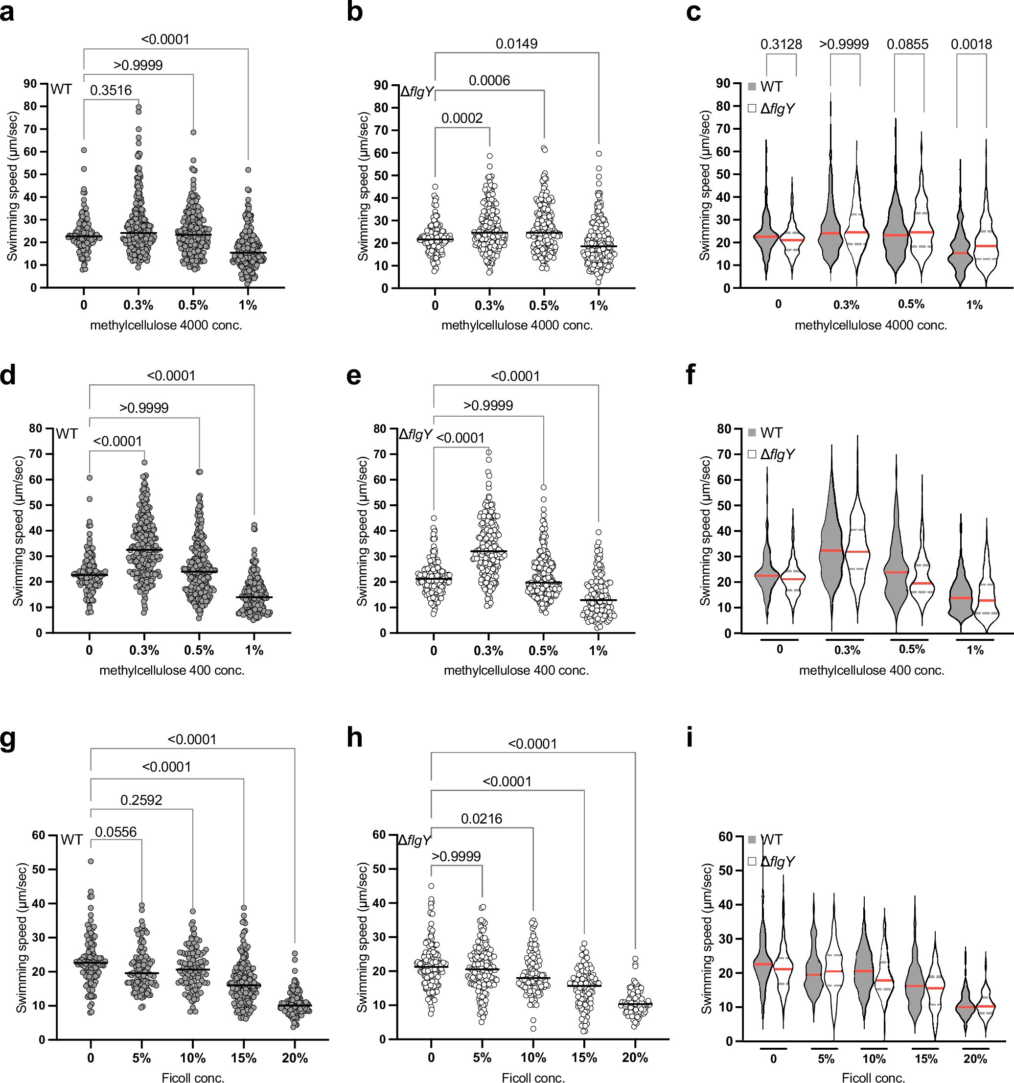 Extended Data Fig. 3: Swimming velocity of Campylobacter jejuni wild type and ΔflgY mutant in media with different viscosities.