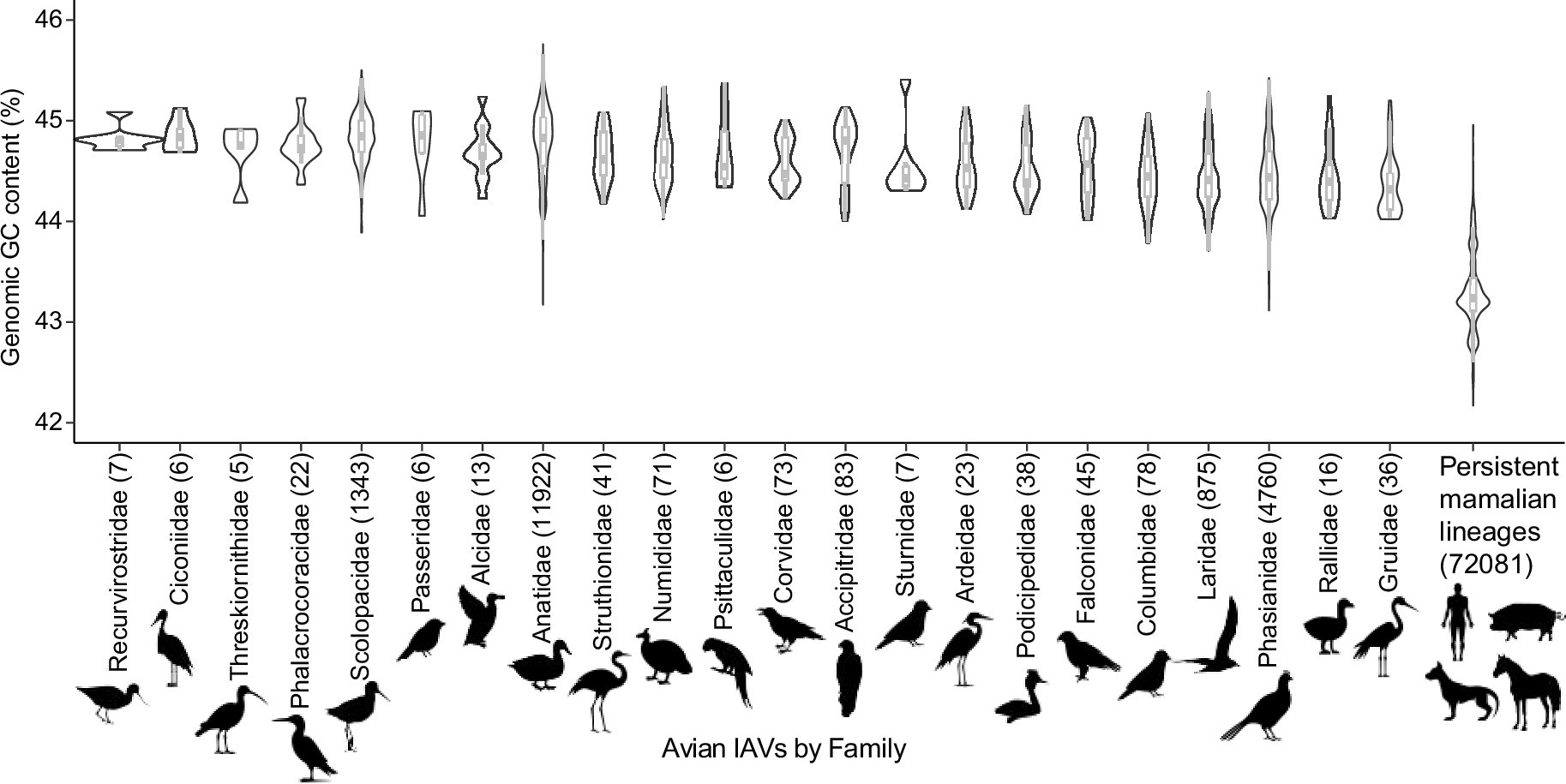 Extended Data Fig. 3: Genomic GC content of avian IAVs.
