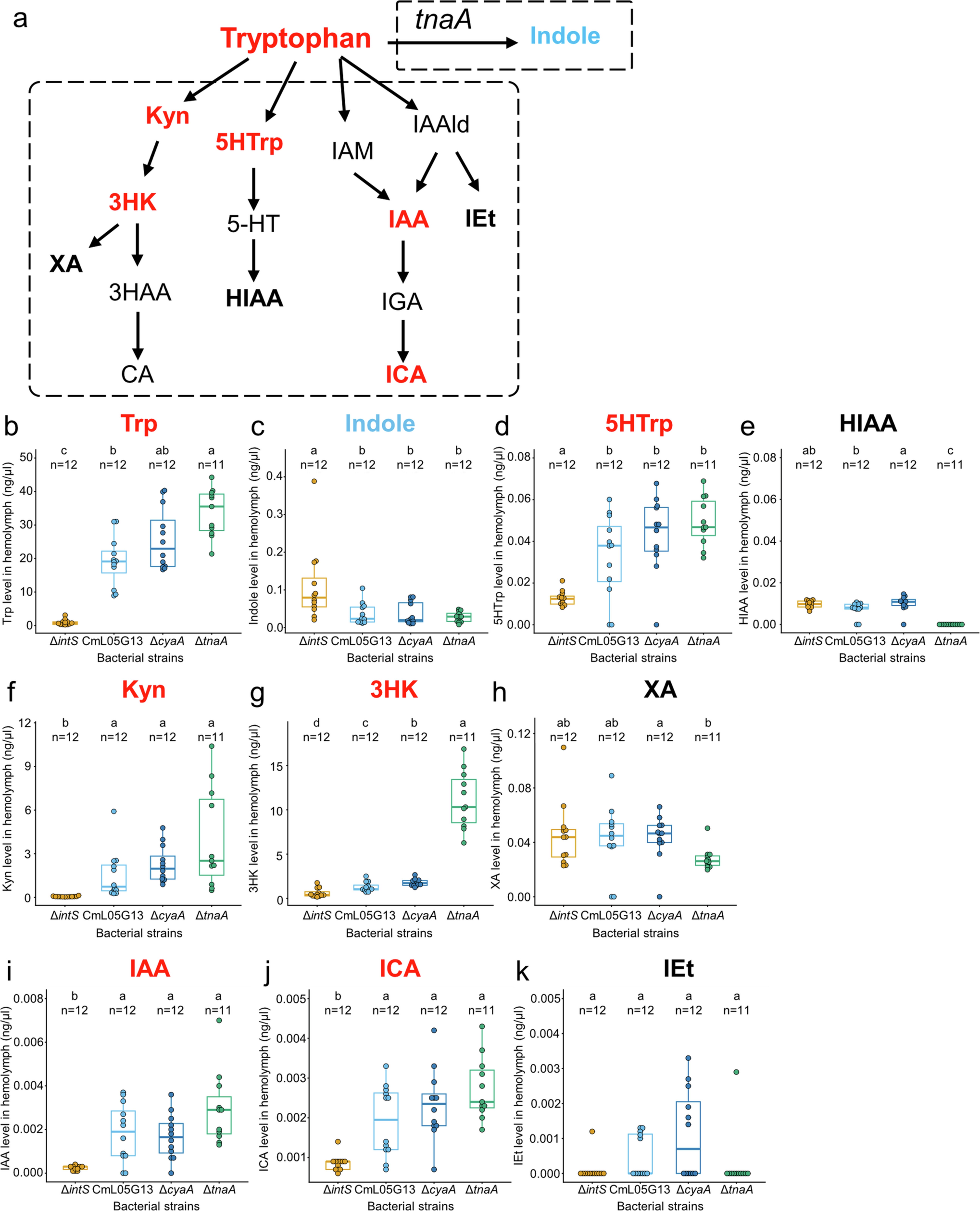 Extended Data Fig. 7: Titers of tryptophan-derived metabolites in hemolymph of P. stali infected with different E. coli strains.