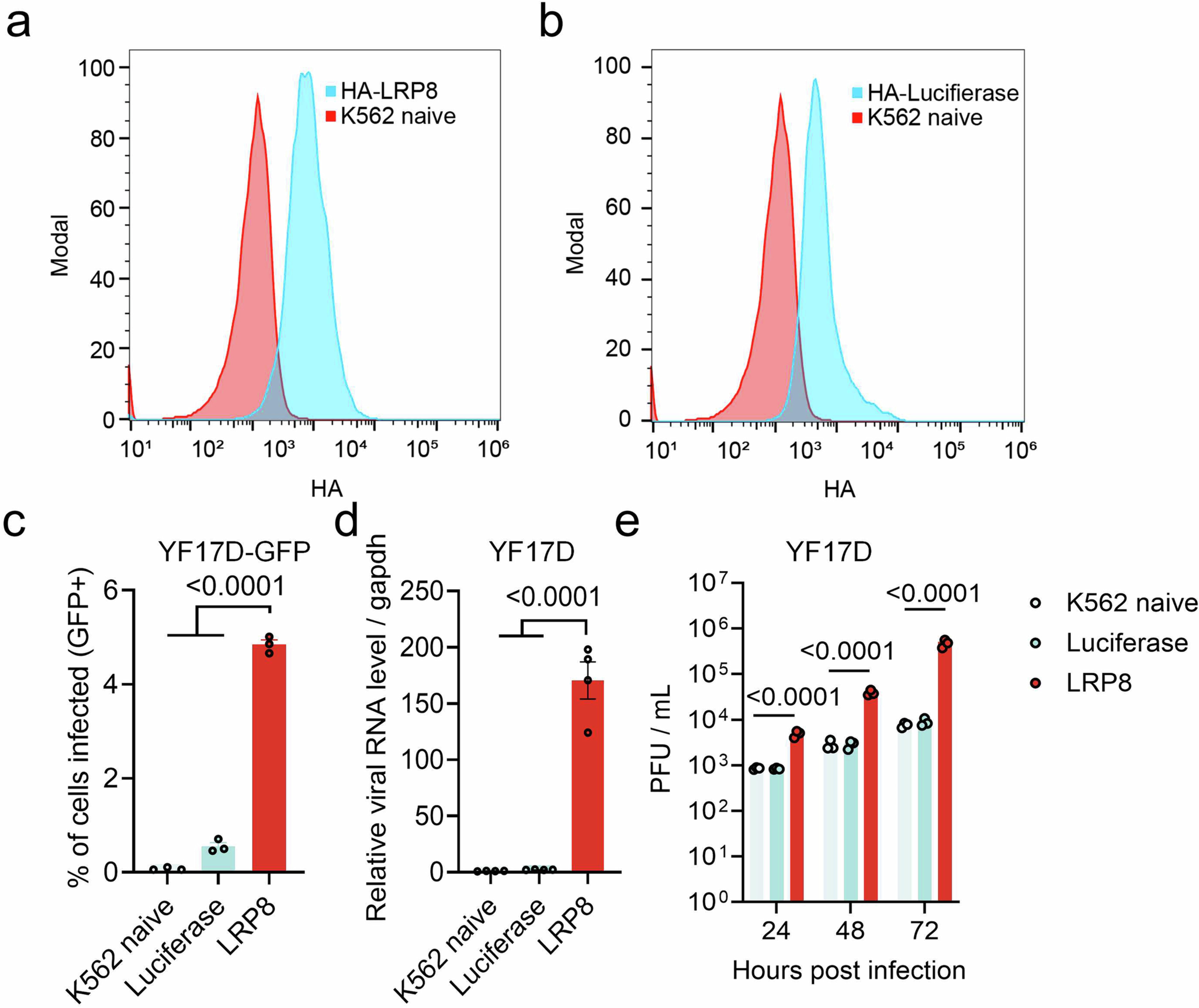 Extended Data Fig. 2: LRP8 promotes YF17D infection in K562 cells.
