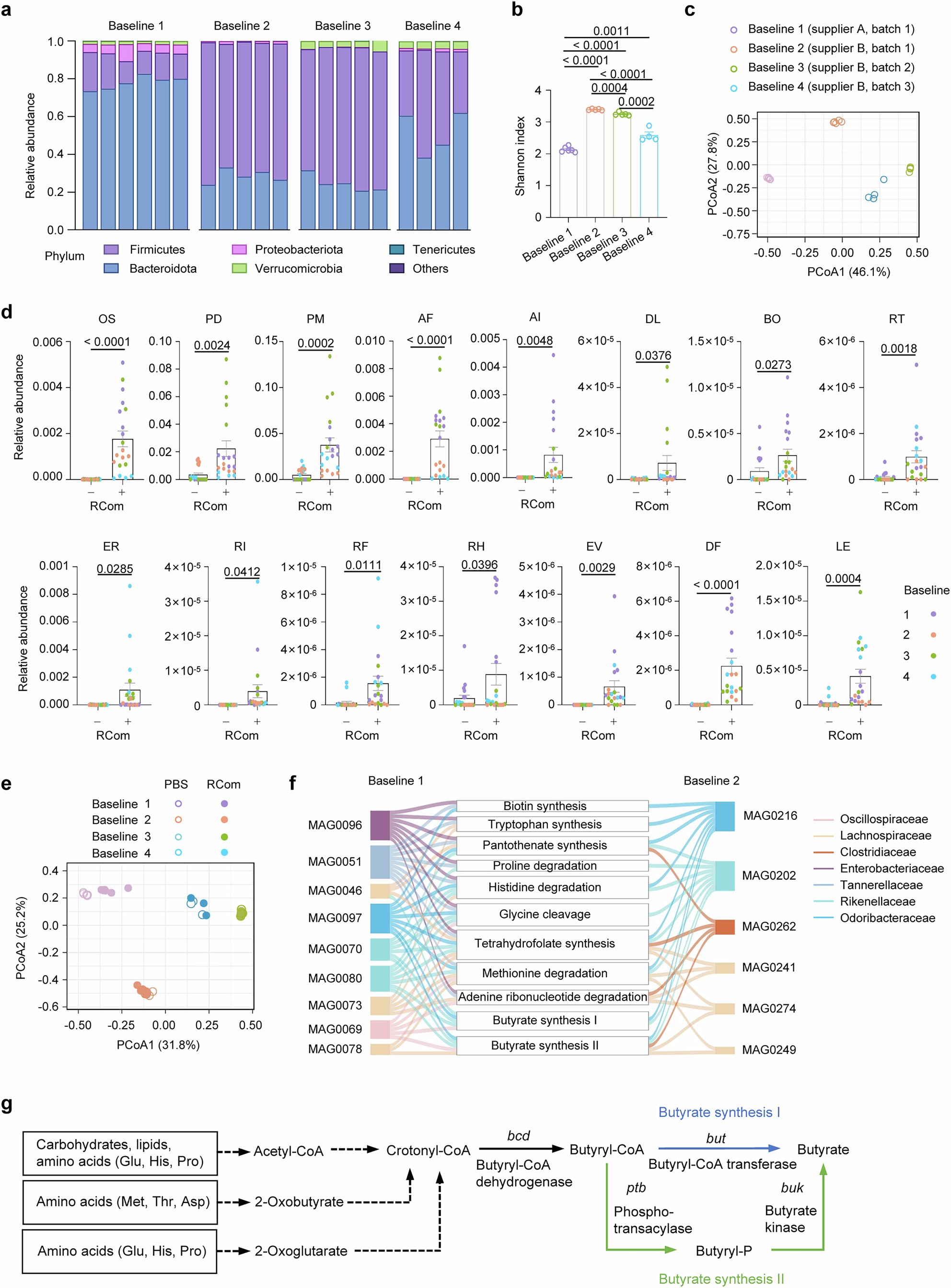 Extended Data Fig. 7: RCom supplementation in mice harboring a variety of baseline gut microbiota.