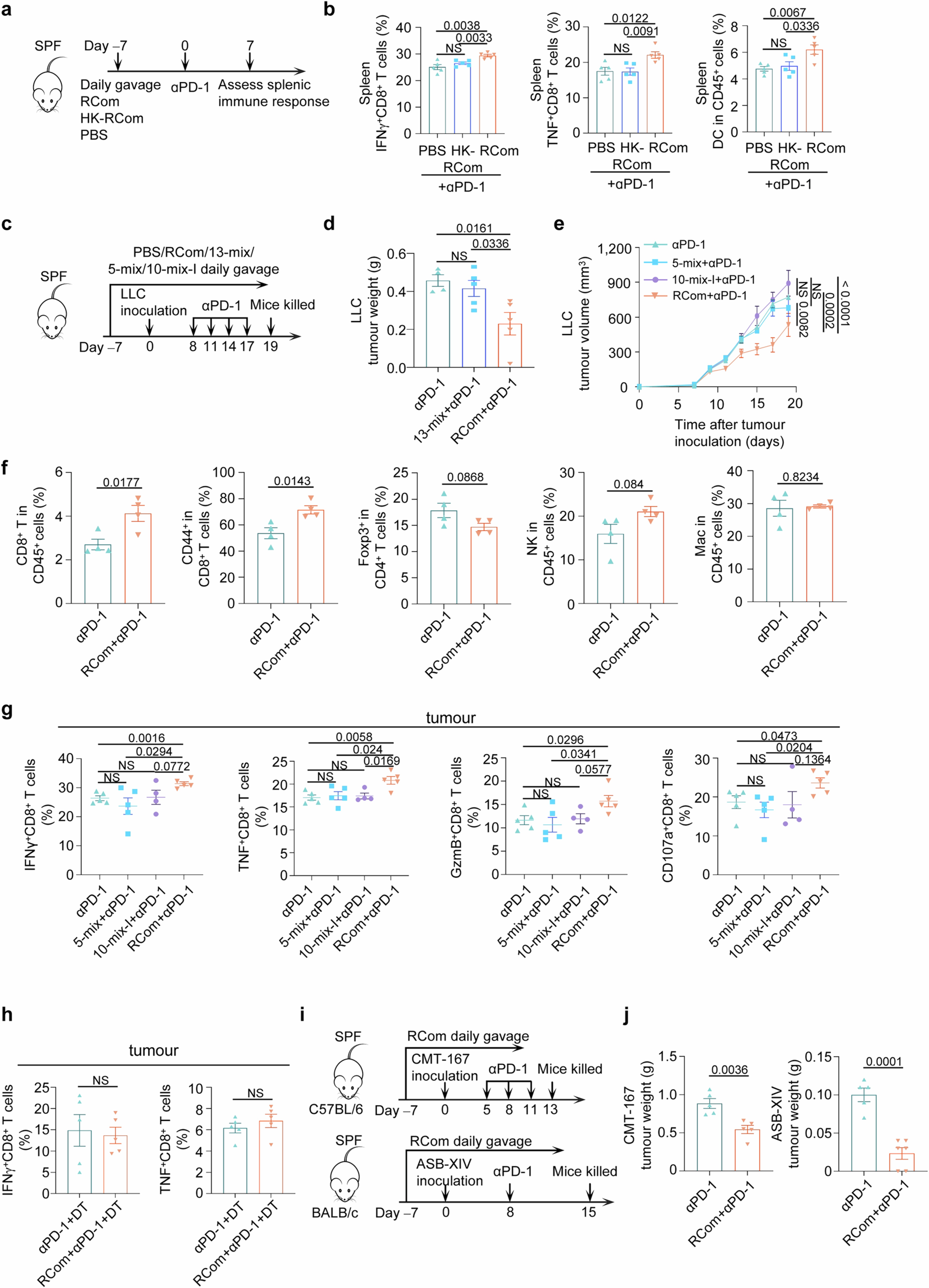 Extended Data Fig. 8: RCom species act together to enhance anti-tumour immunity and anti-PD-1 efficacy.