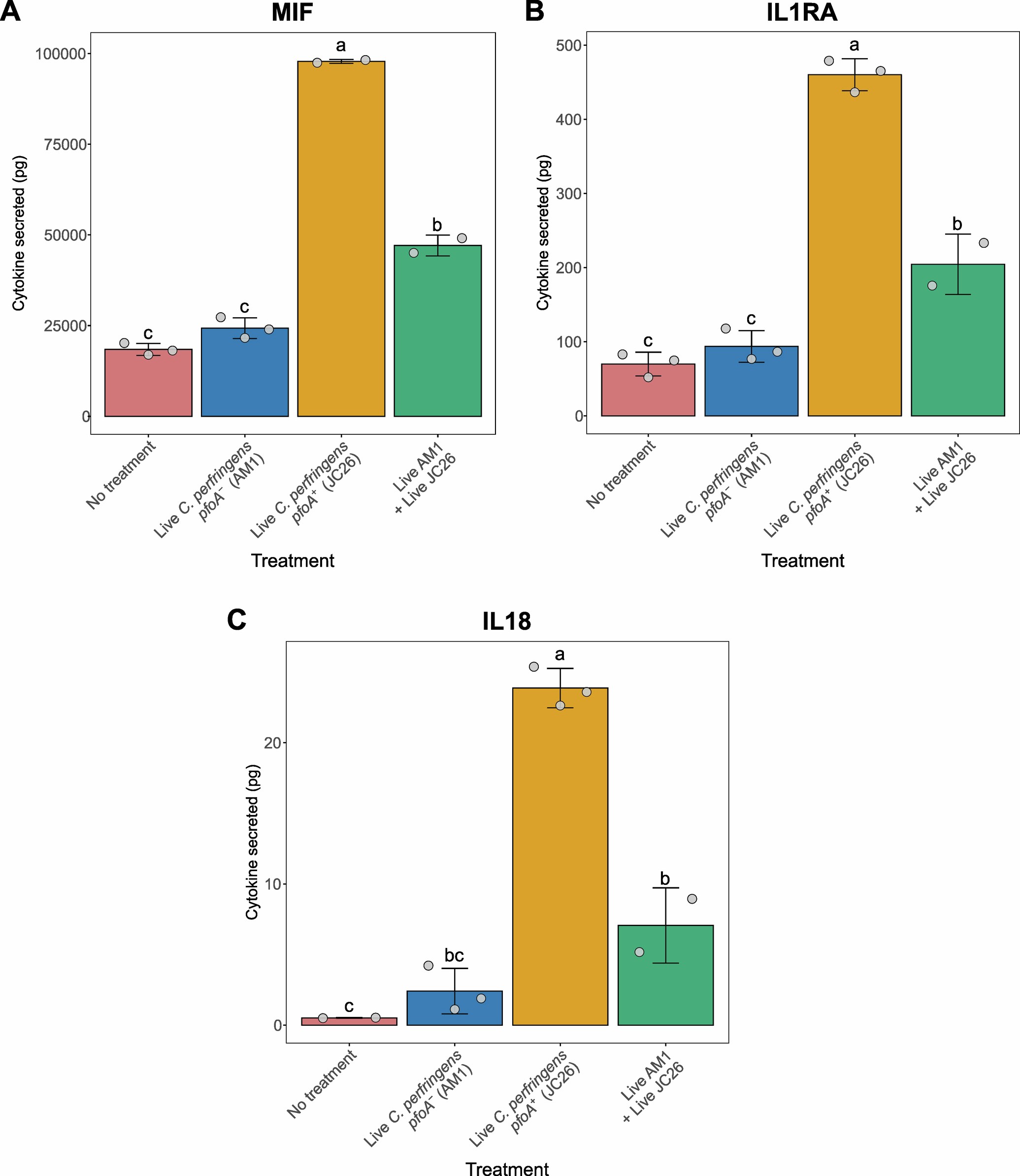 Extended Data Fig. 10: Apical secretion of cytokines from organoid monolayers treated with pfoA− and pfoA+ Clostridium perfringens isolates (n = 2-3 per treatment).
