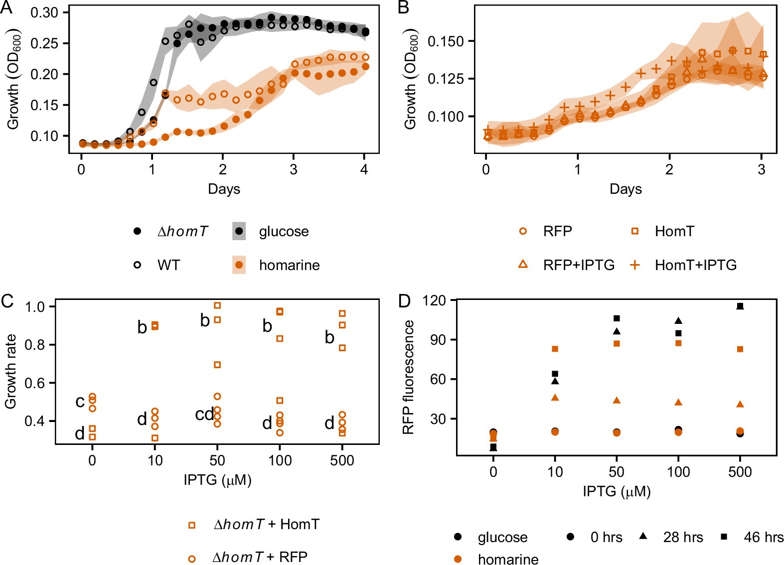 Extended Data Fig. 2: Deletion of the GBT gene (ΔhomT) in the proposed homarine catabolic operon impairs growth of Cobetia sp. OBi1 on homarine.