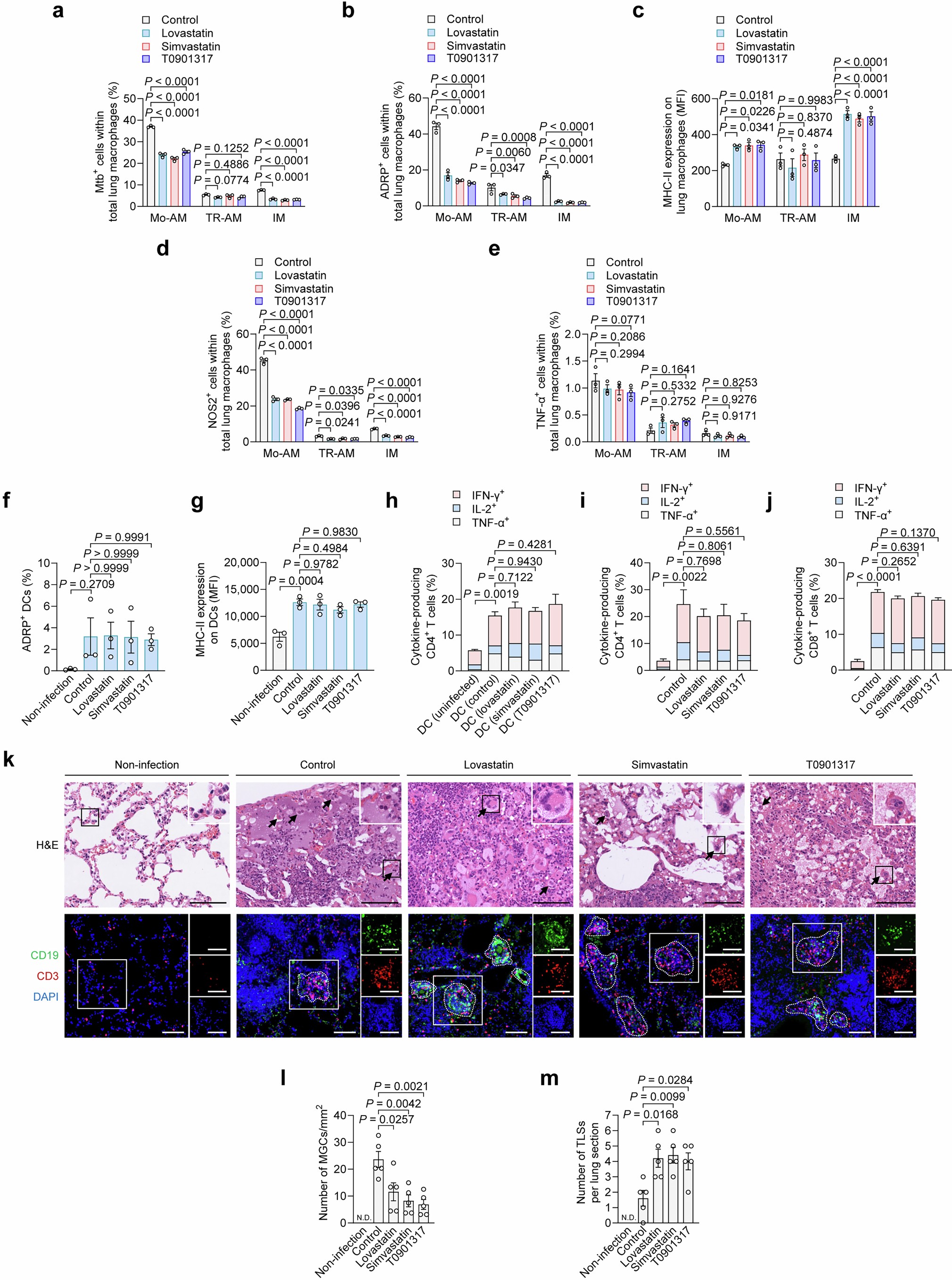 Extended Data Fig. 7: Late-stage cholesterol intervention reduces lipid accumulation and restricts Mtb survival in lung macrophages.