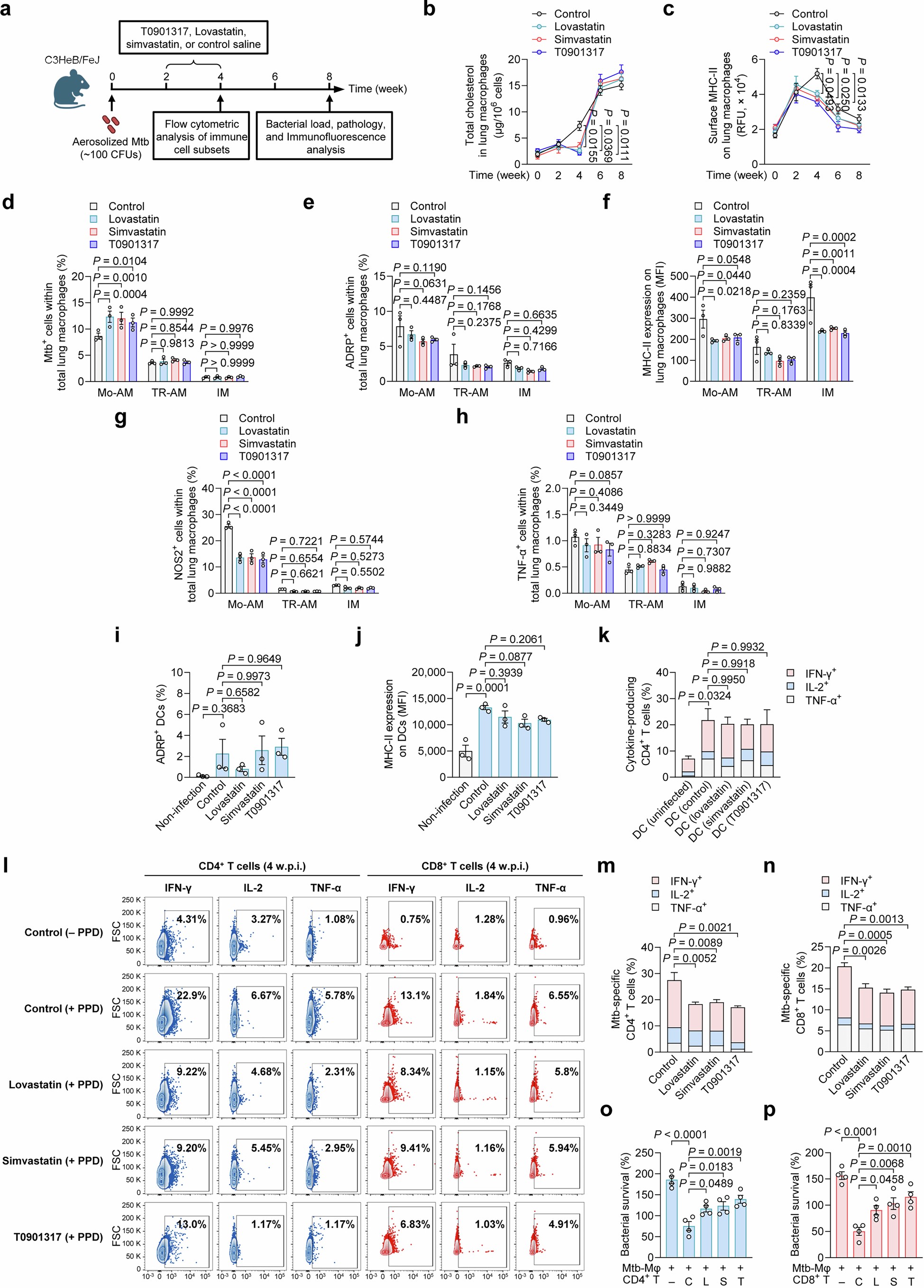 Extended Data Fig. 8: Excessive reduction of cholesterol in lung macrophages during early-stage infection dampens host anti-Mtb immunity.