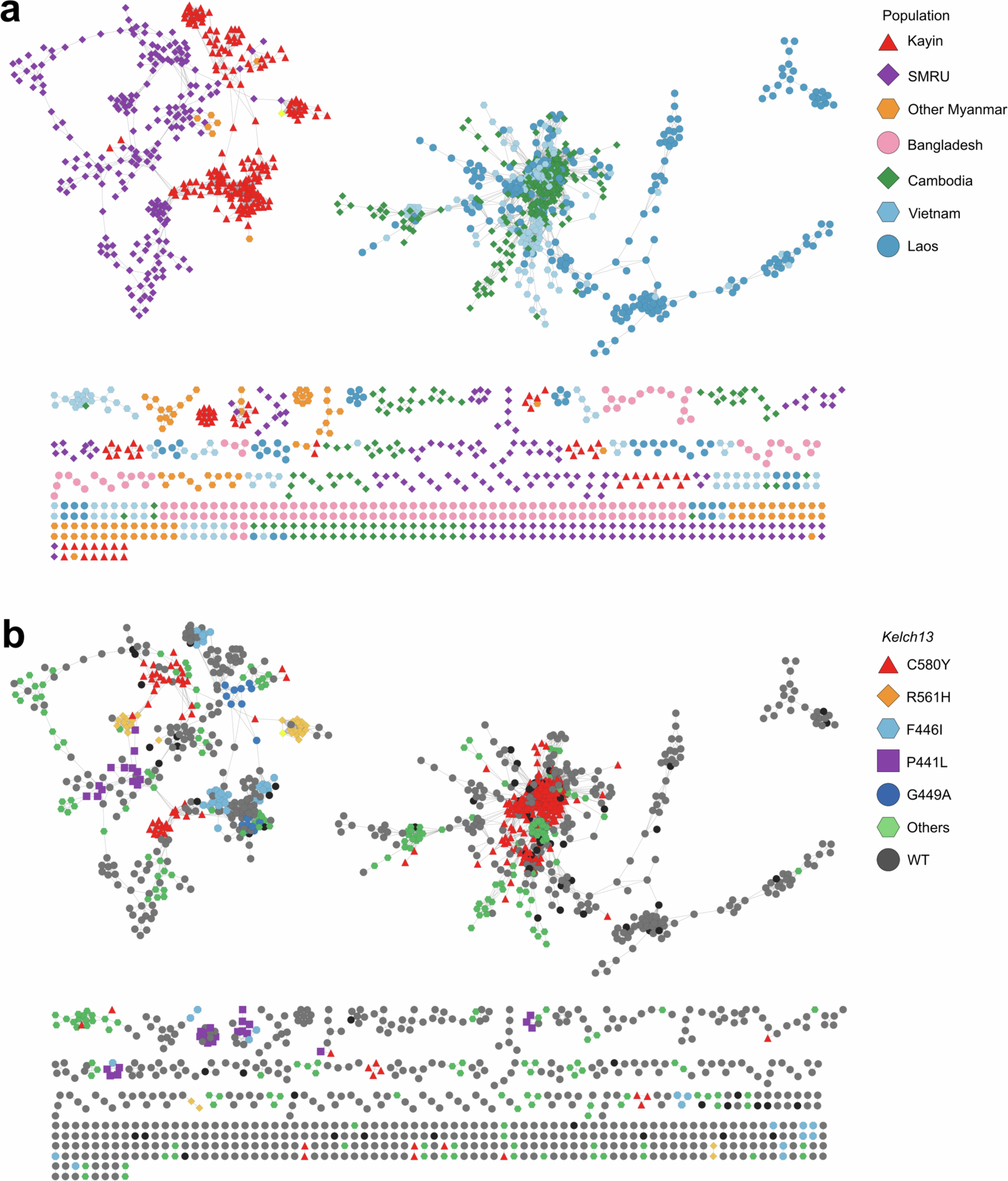 Extended Data Fig. 7: Parasite connection network based on pair-wise genetic relatedness.