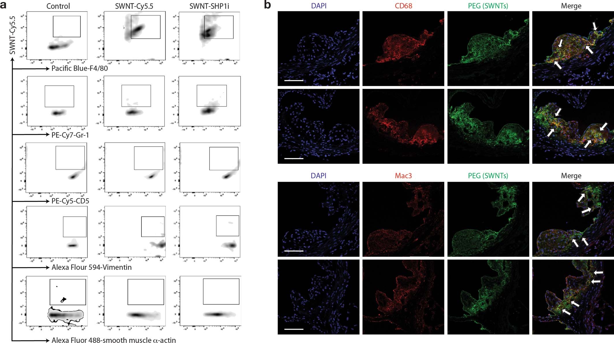 Extended Data Fig. 4: Extended Data Fig. 4.