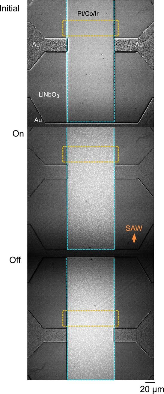 Extended Data Fig. 1