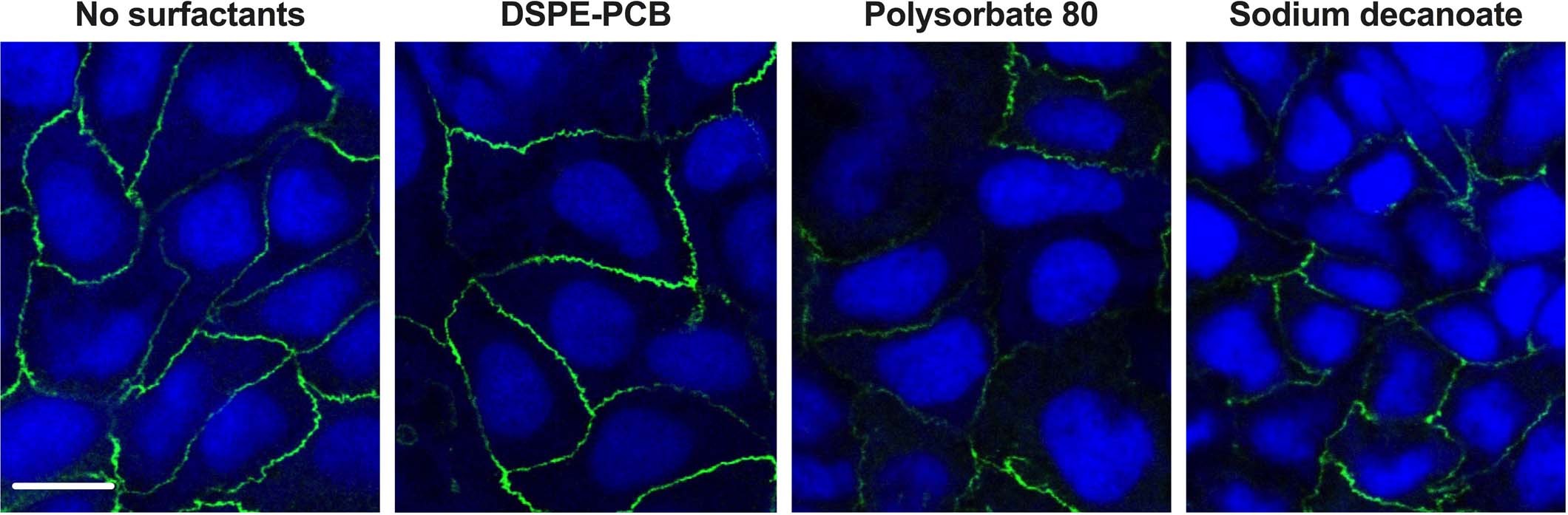 Extended Data Fig. 2