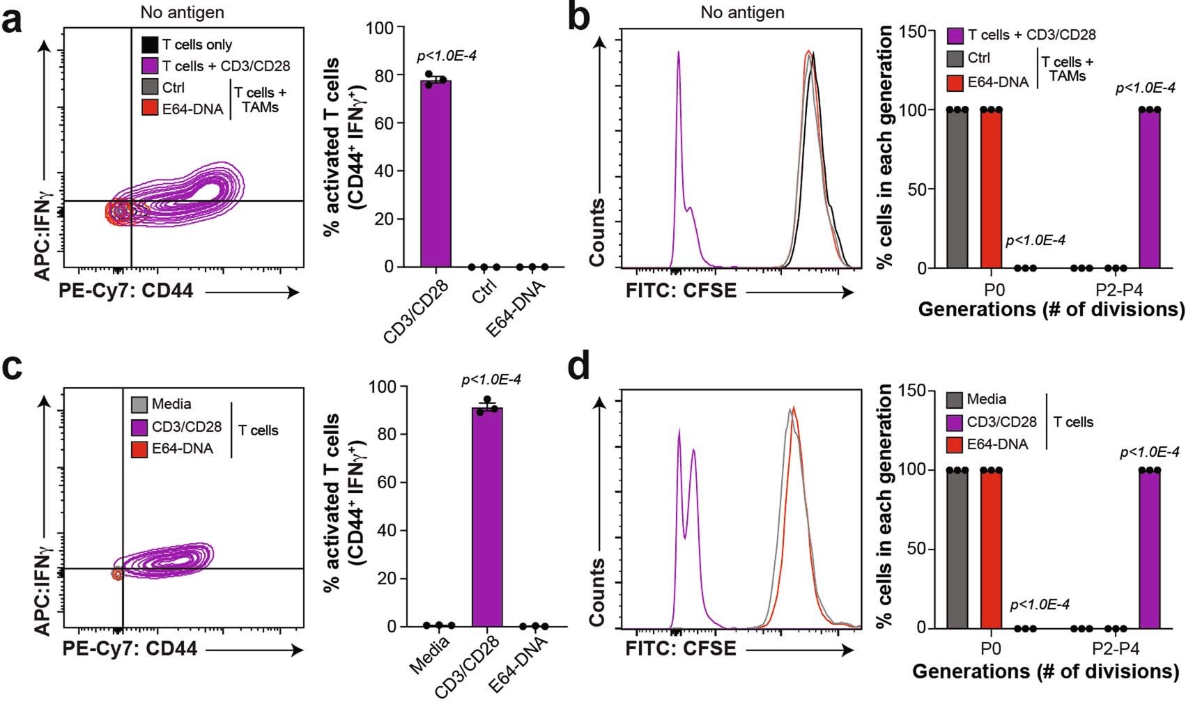 Extended Data Fig. 7: E64-DNA does not activate T cells through allostimulation or direct stimulation.