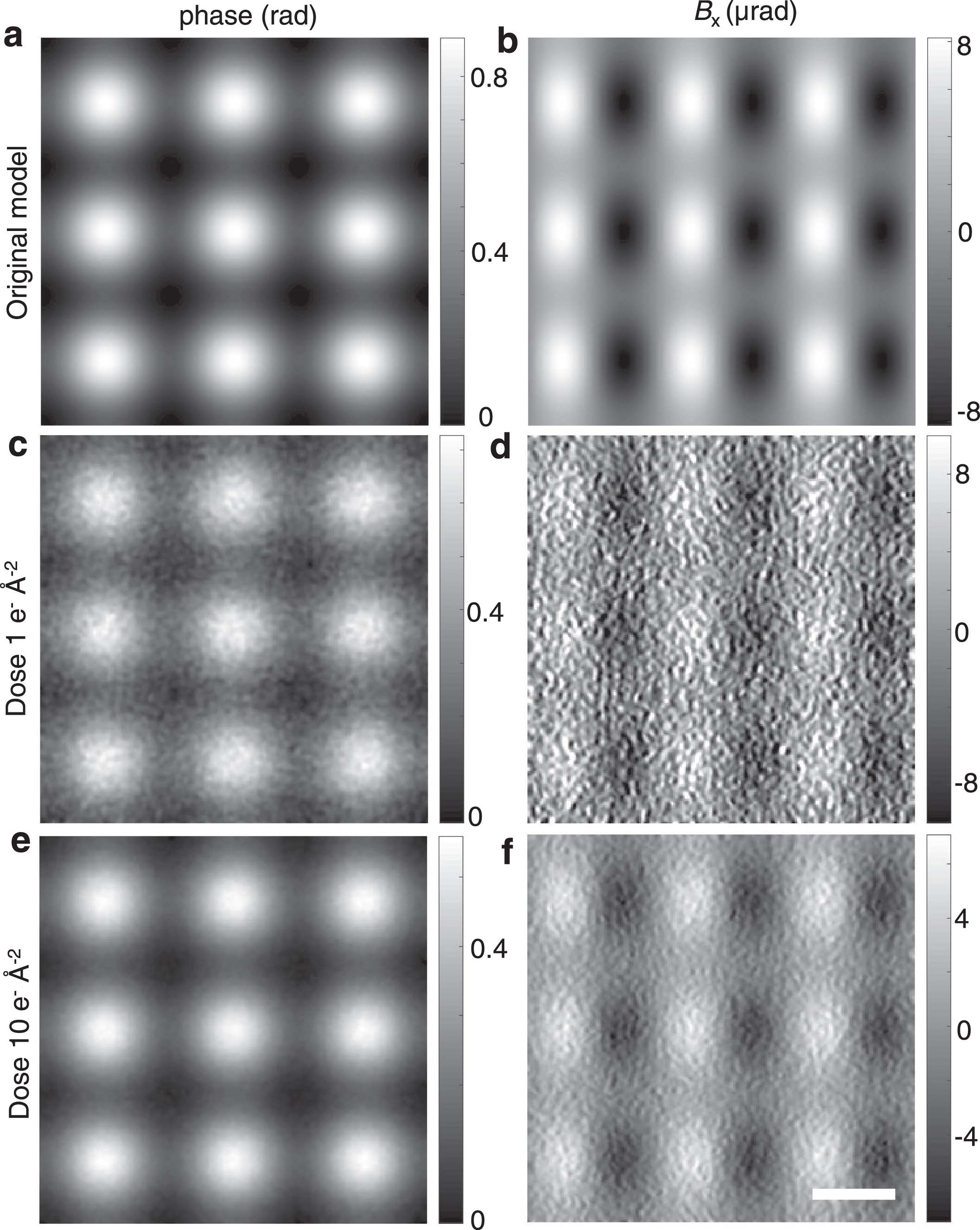 Extended Data Fig. 6