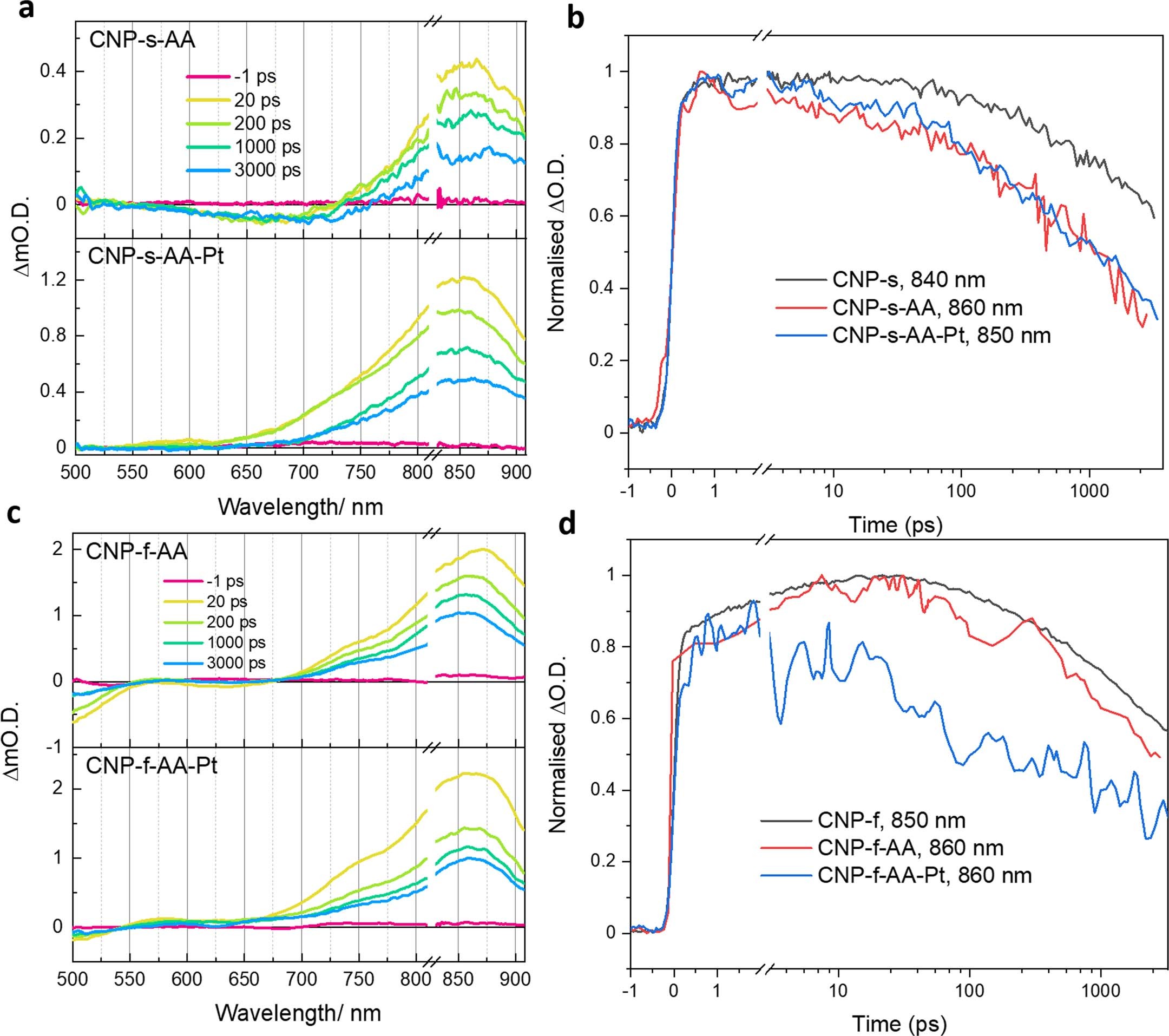 Extended Data Fig. 5: Isotope labelling experiments.