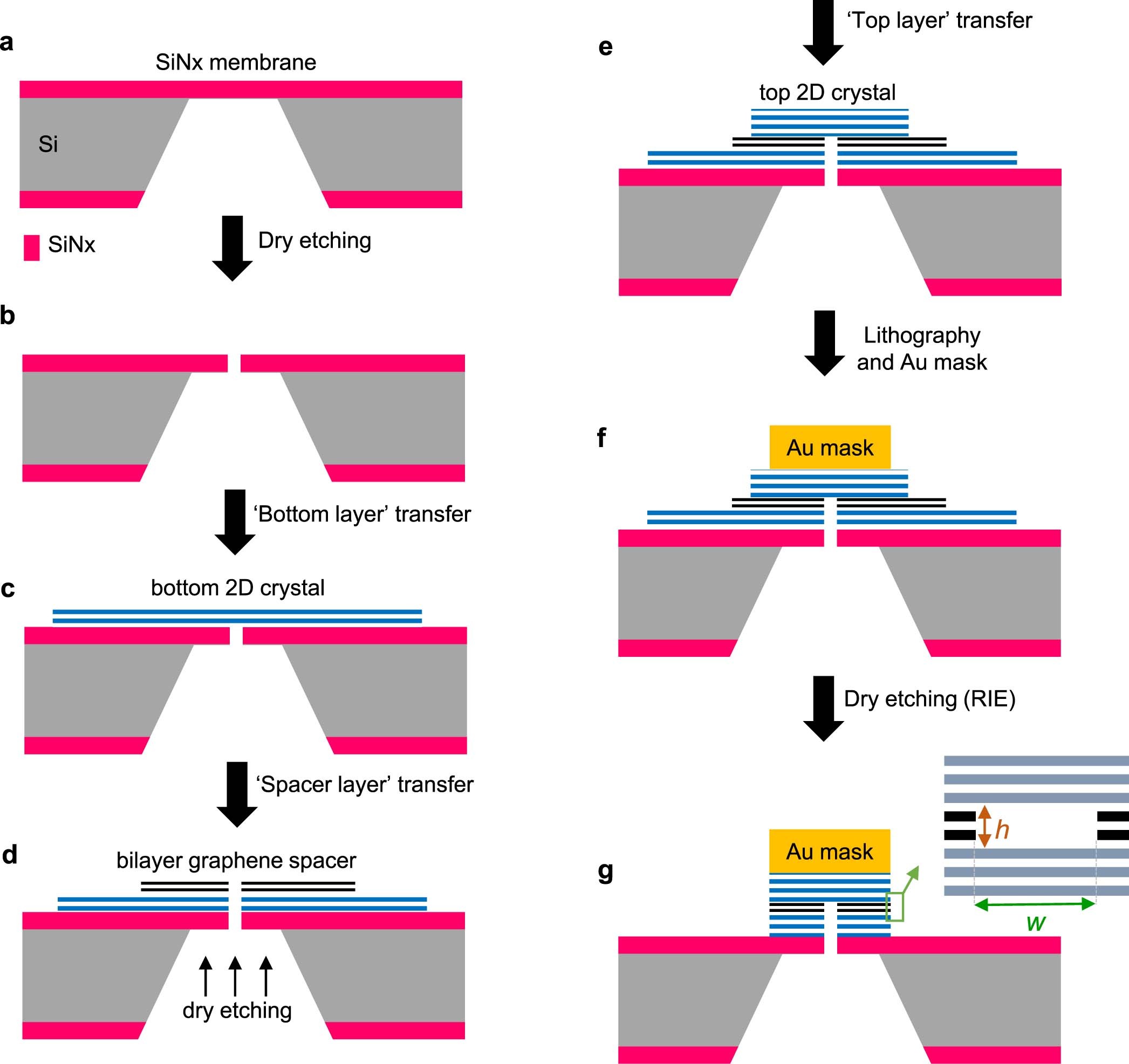 Extended Data Fig. 1