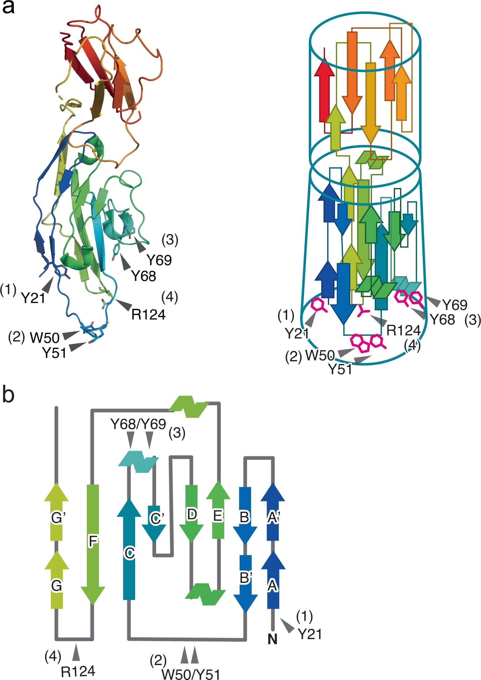 Extended Data Fig. 2