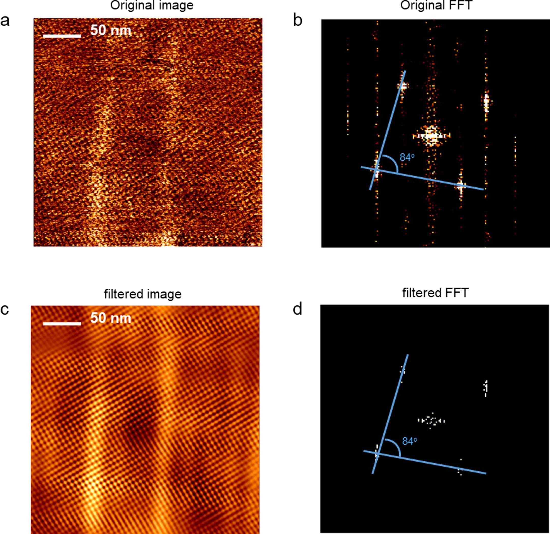 Extended Data Fig. 1: PFM images and analysis.