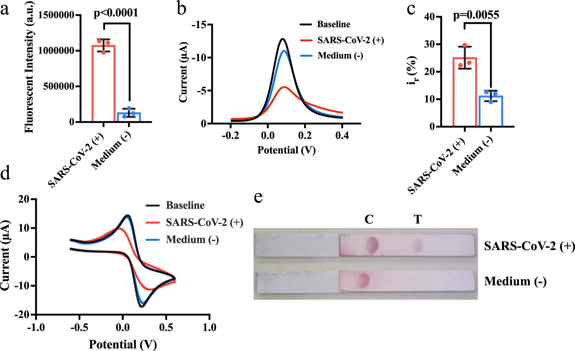 Extended Data Fig. 1: Demonstration of the utility of SynBioNFs to detect SCV2 on fluorescent, electrochemical, and naked eye platforms.