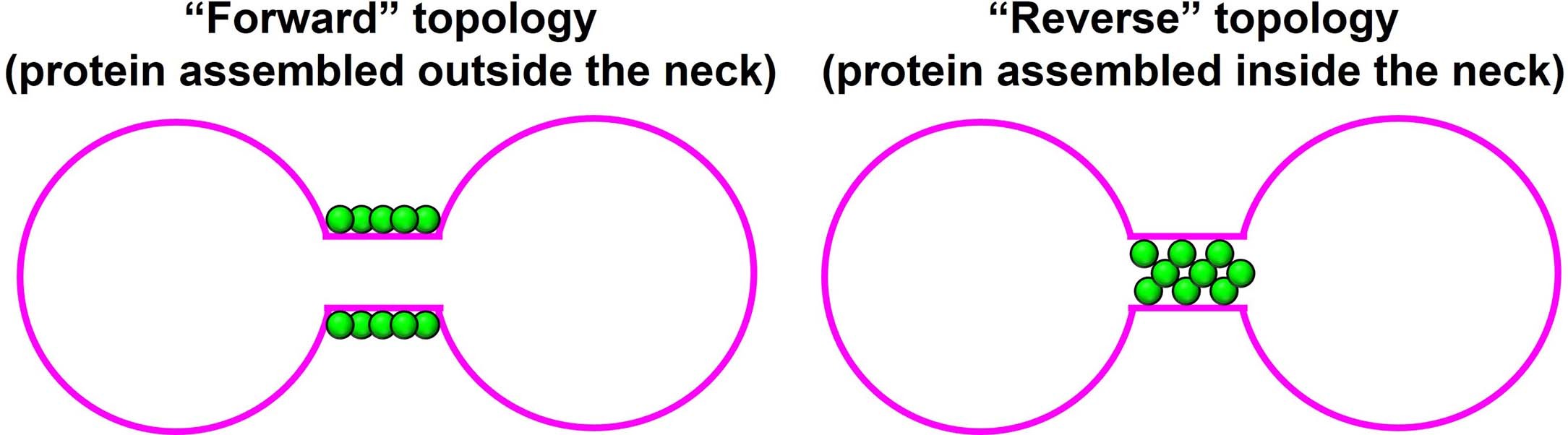 Extended Data Fig. 1