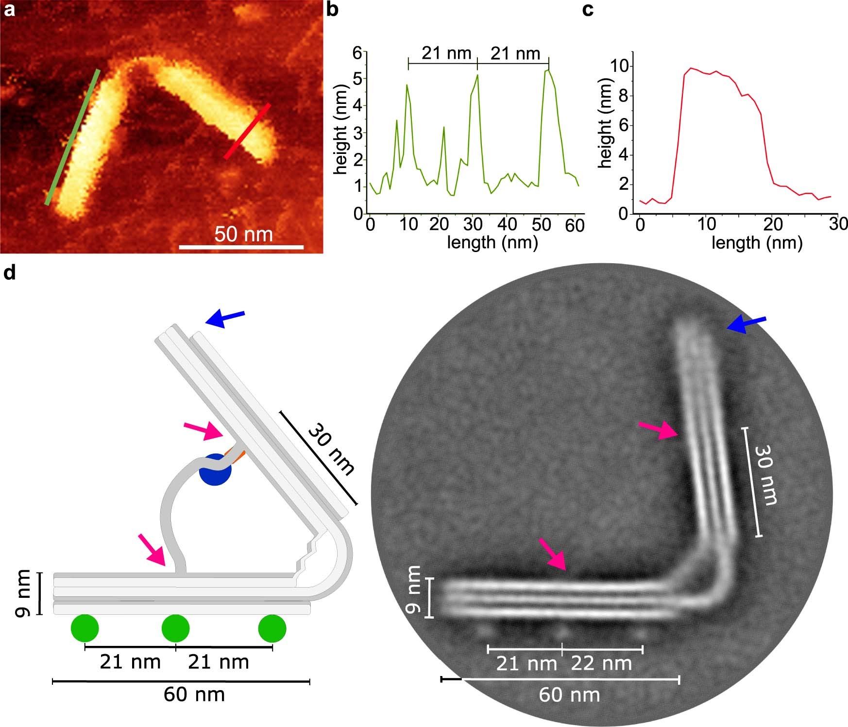 Extended Data Fig. 2