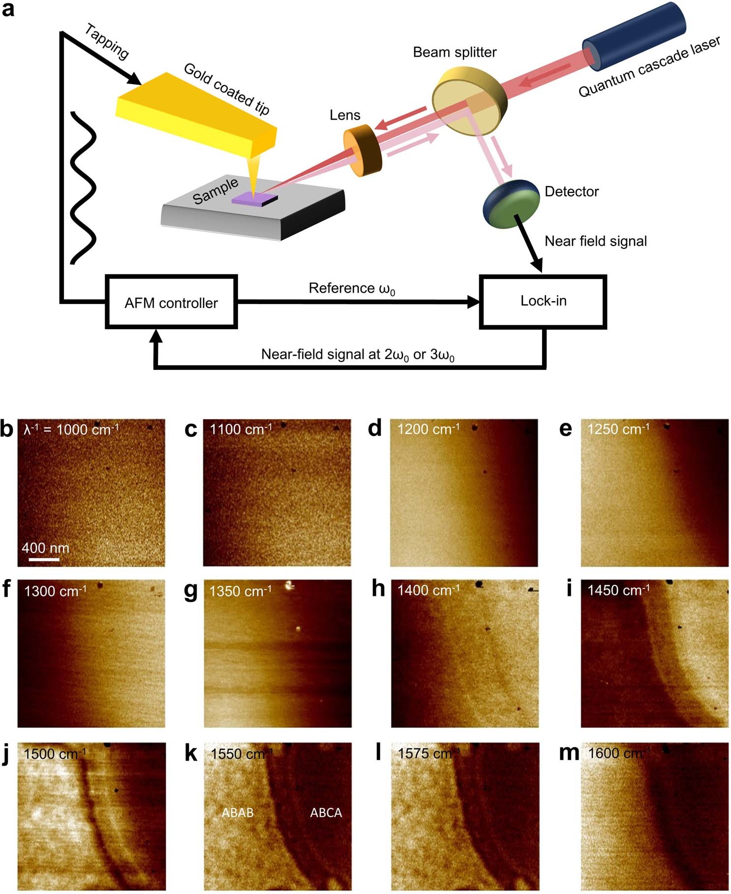 Extended Data Fig. 1