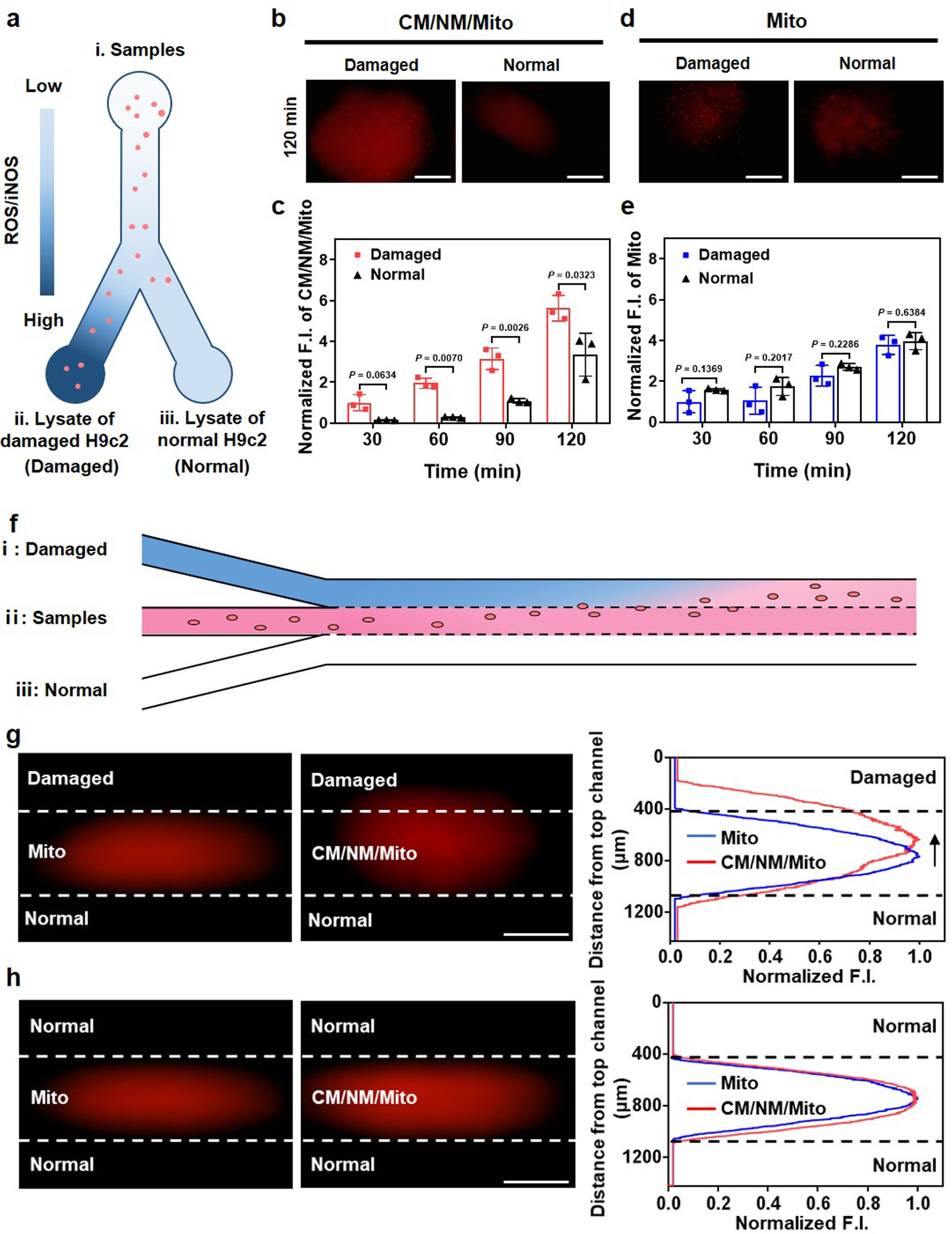 Extended Data Fig. 3